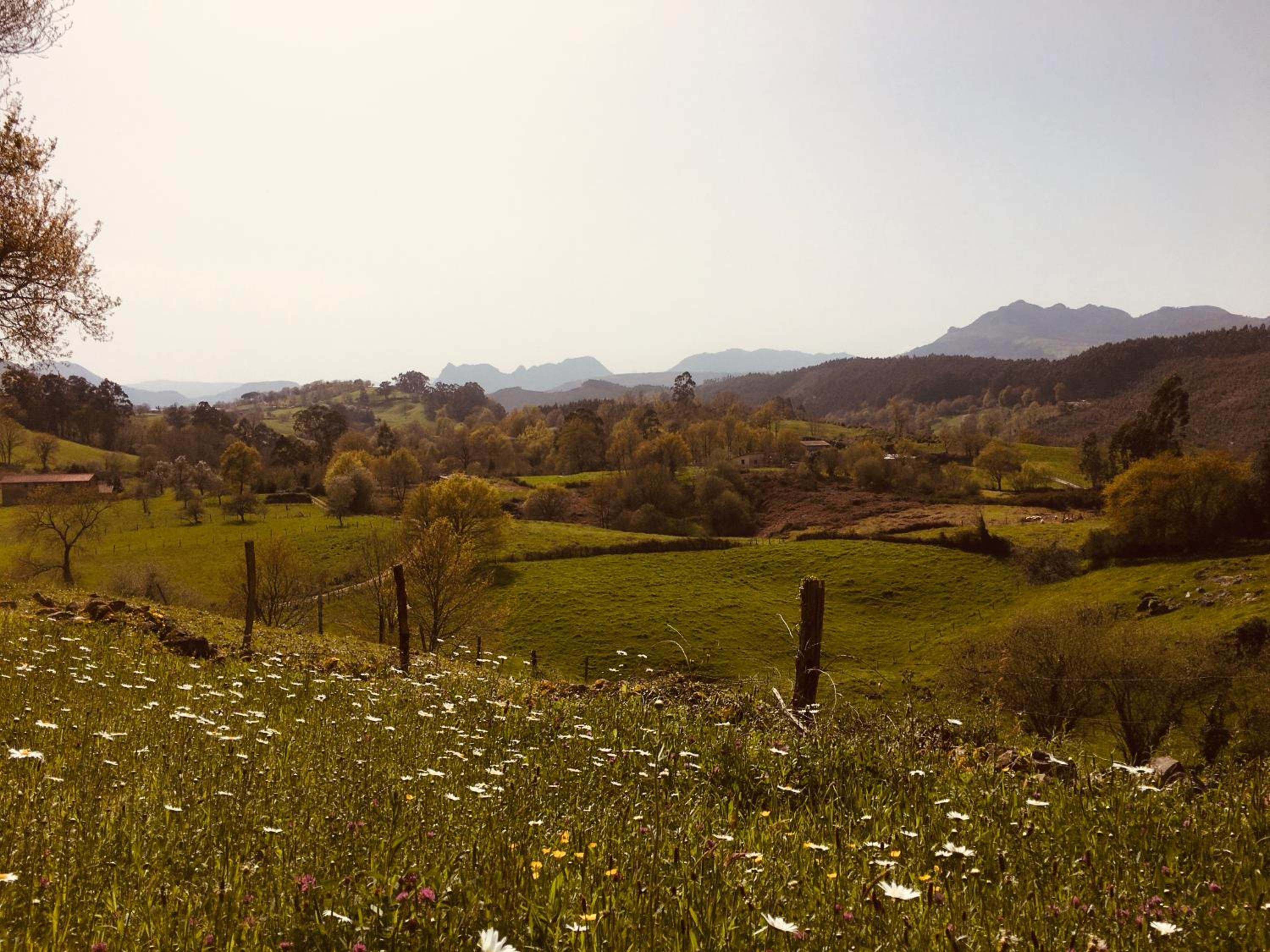 Rural Resort Cantabria