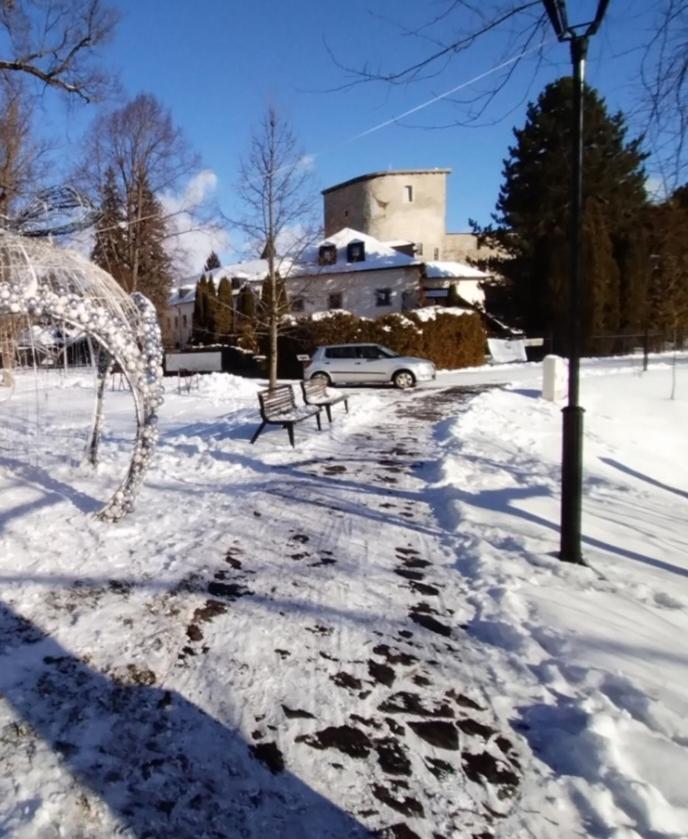 Photo 8