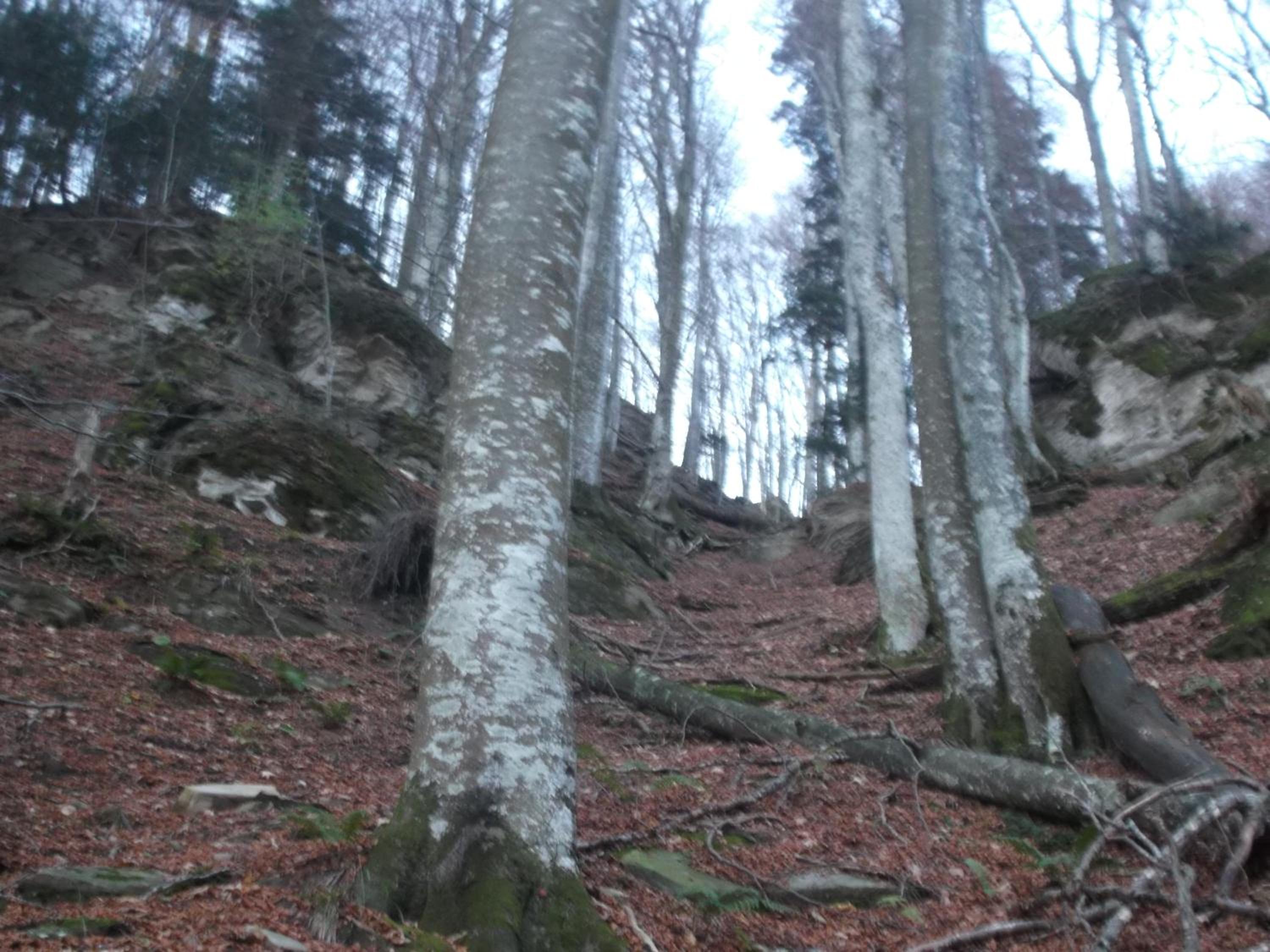 Photo 29