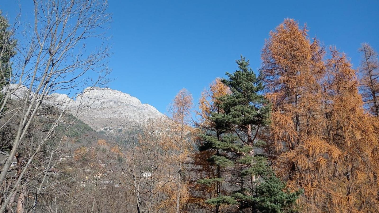 La dimora del castagno view 5