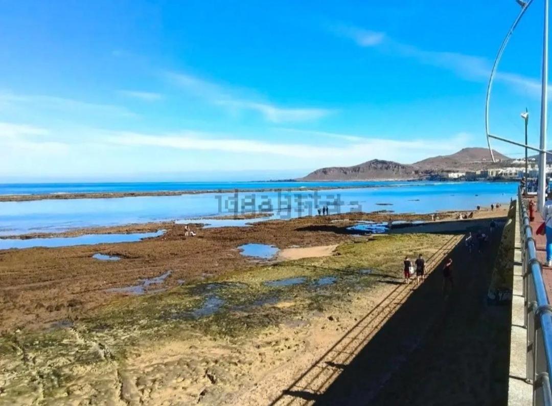 Apartamento Playa Las Canteras