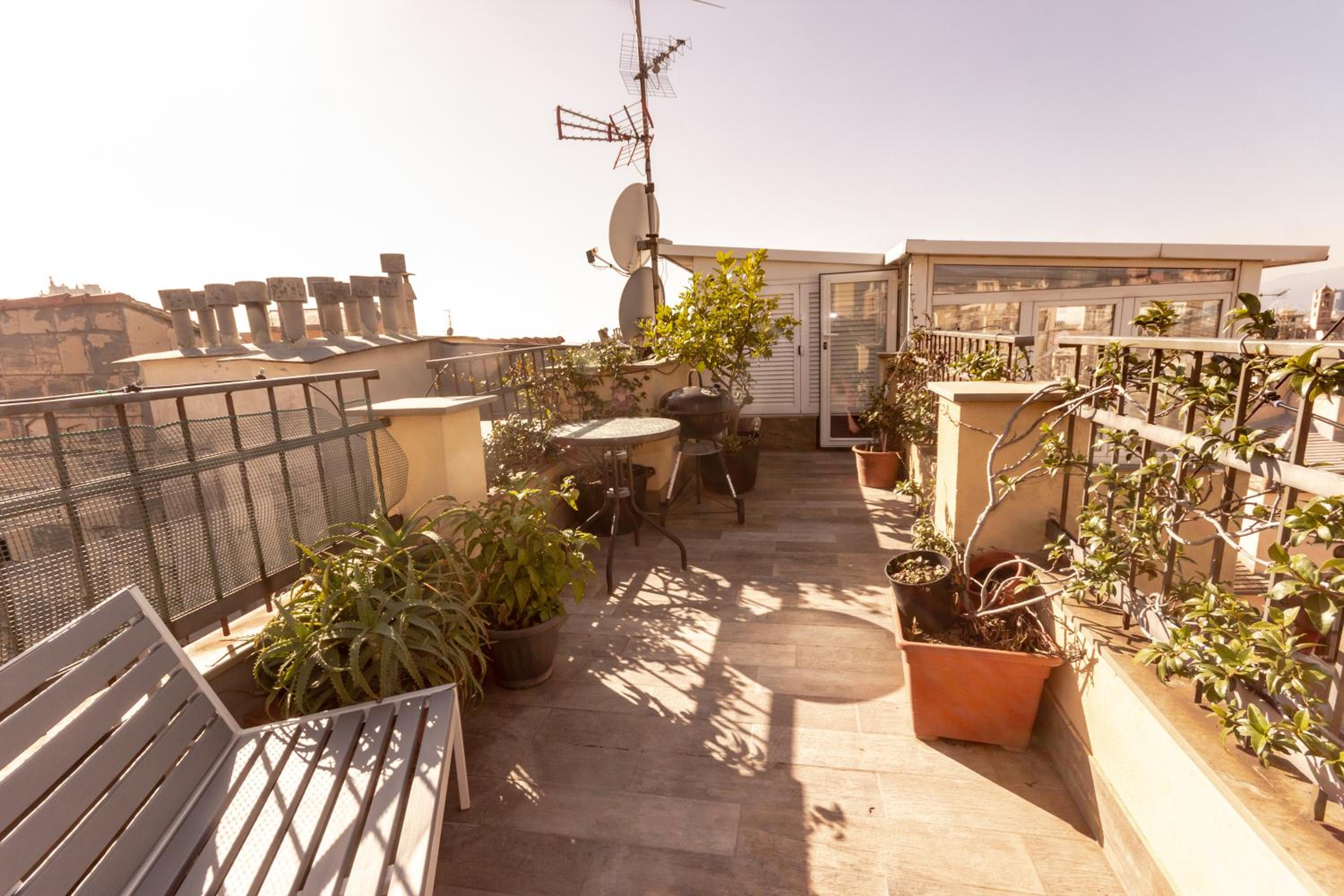 roof