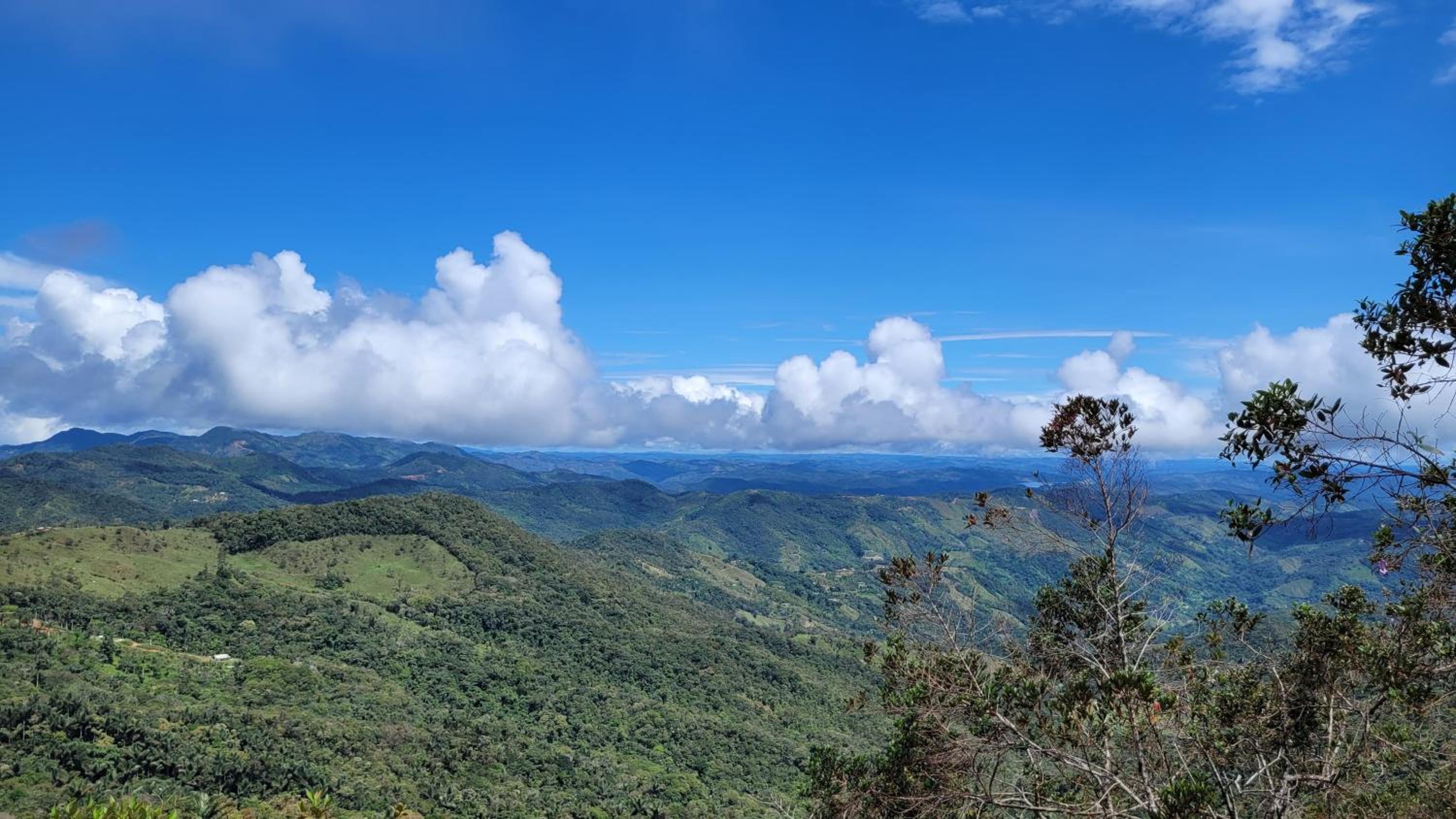 Finca AVALON Alejandria Antioquia