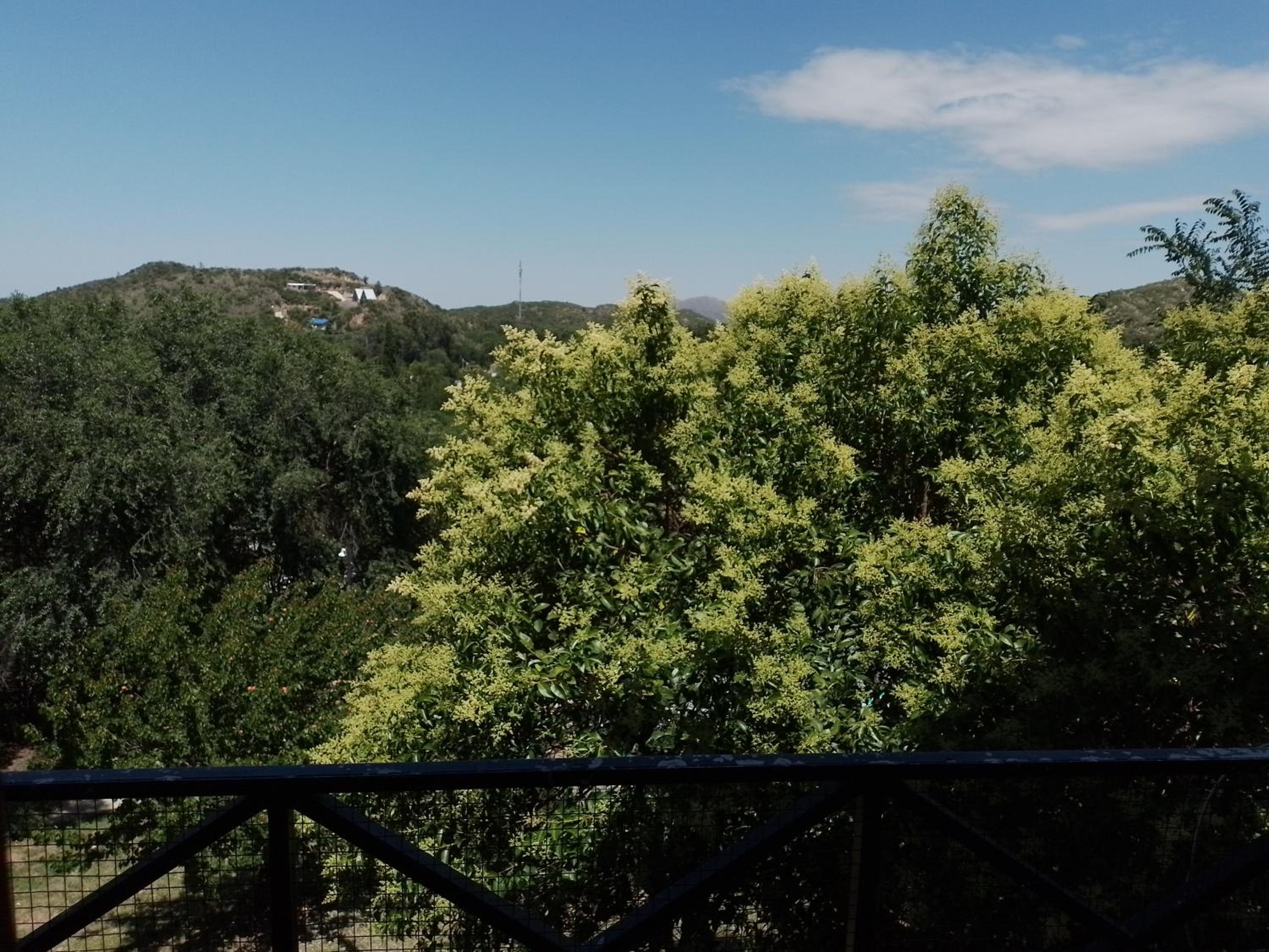 Ayün