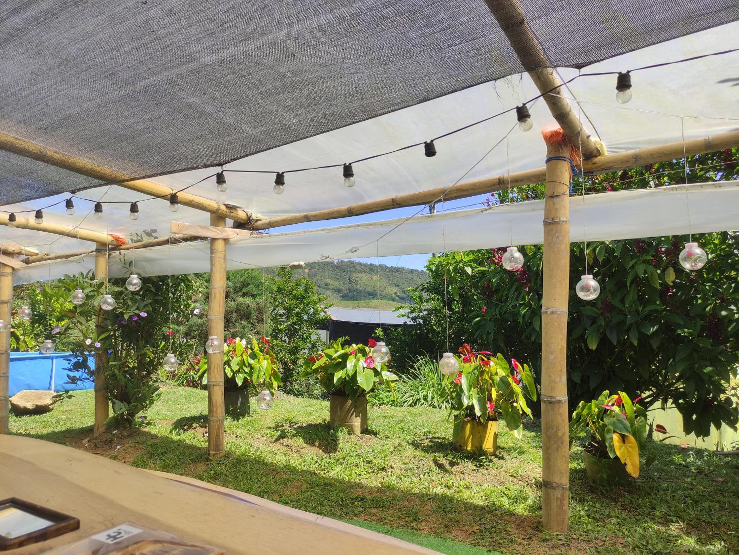 Finca AVALON Alejandria Antioquia