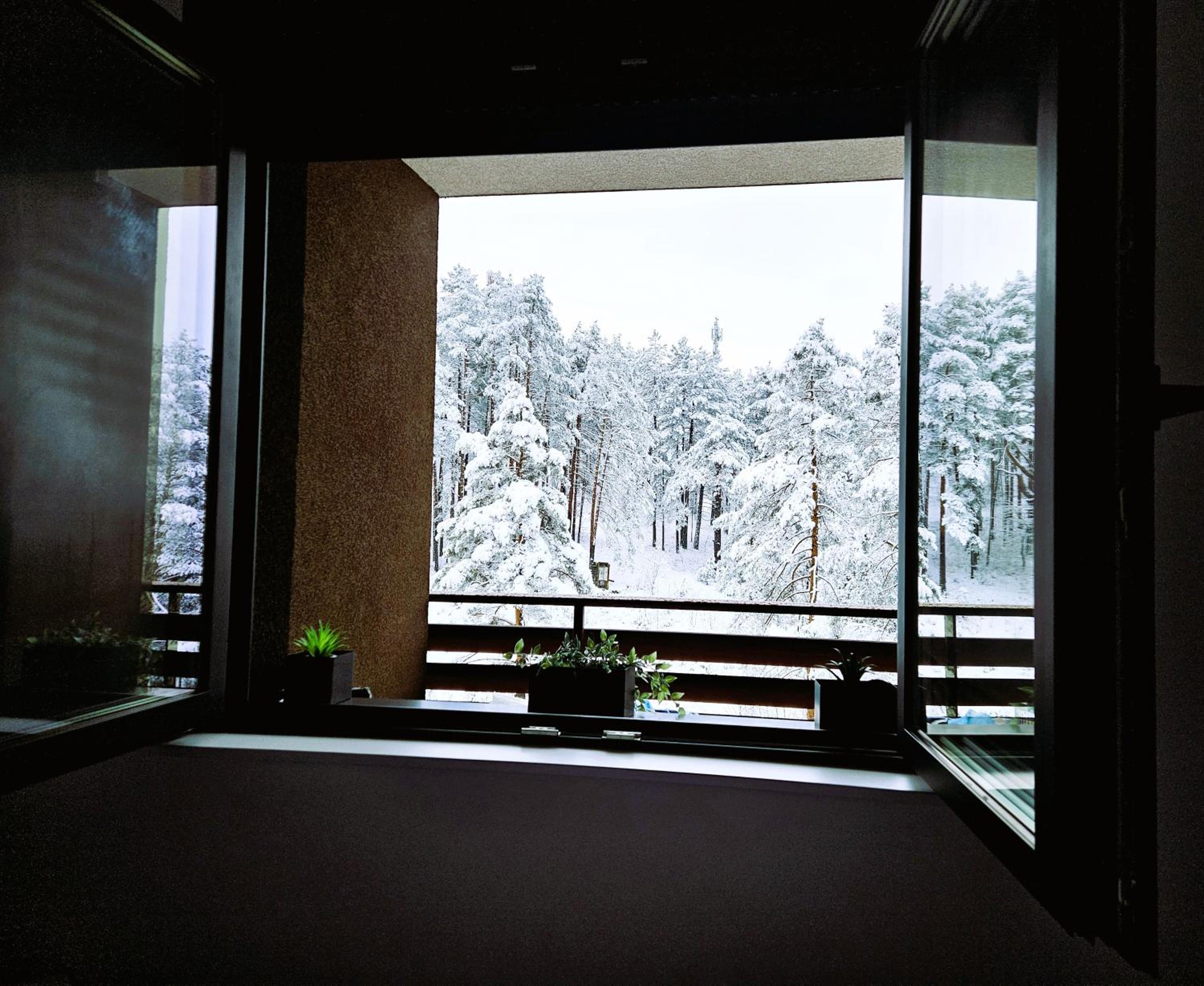 Magic Forest Apartman