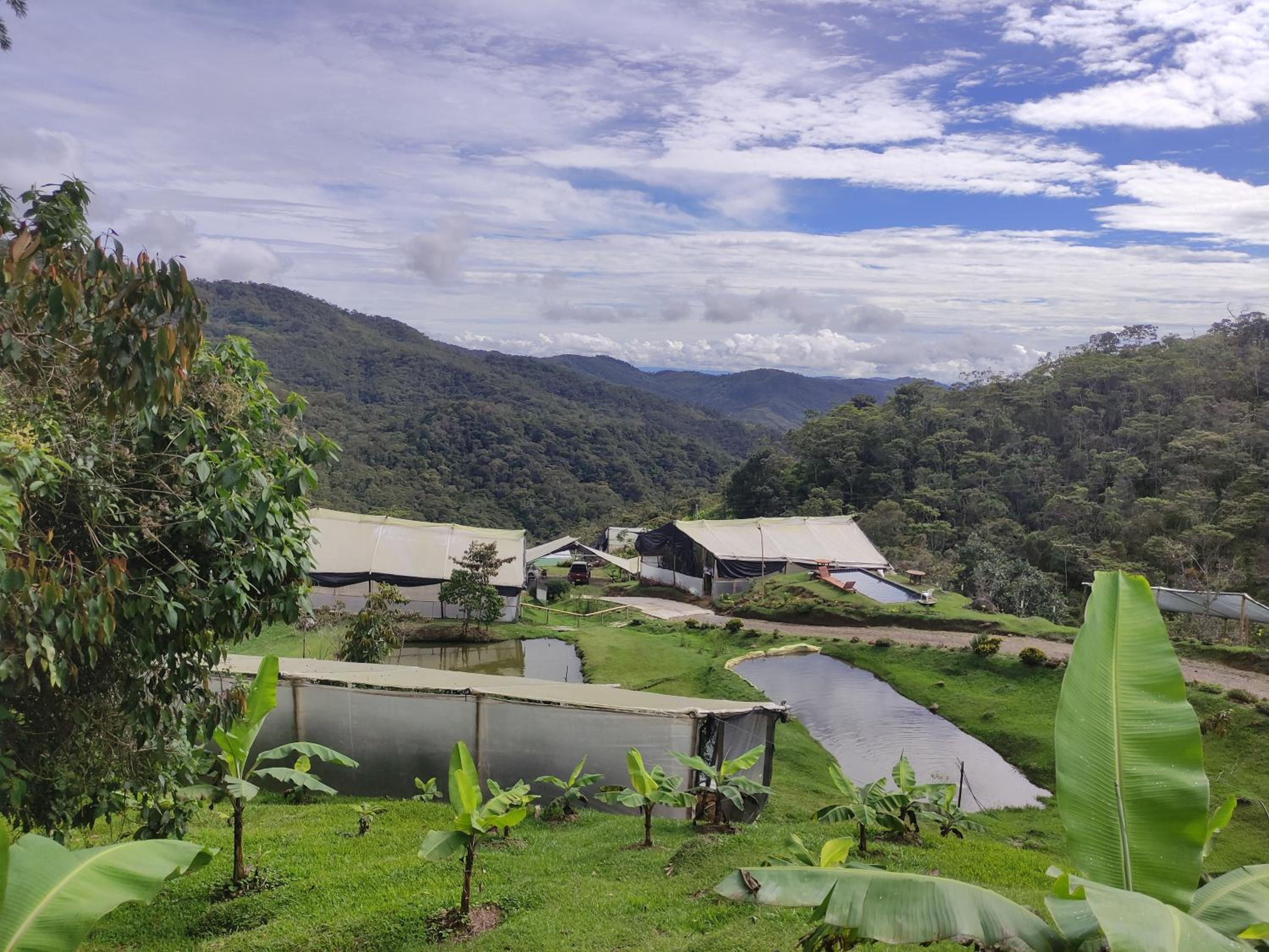 Finca AVALON Alejandria Antioquia