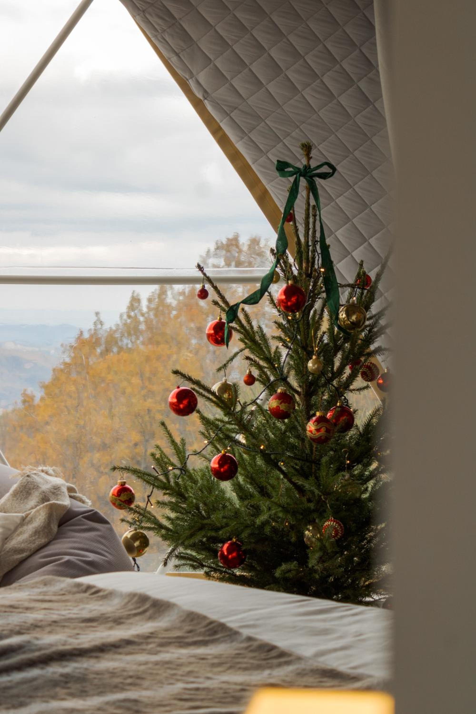 Aura - Glamping Experience