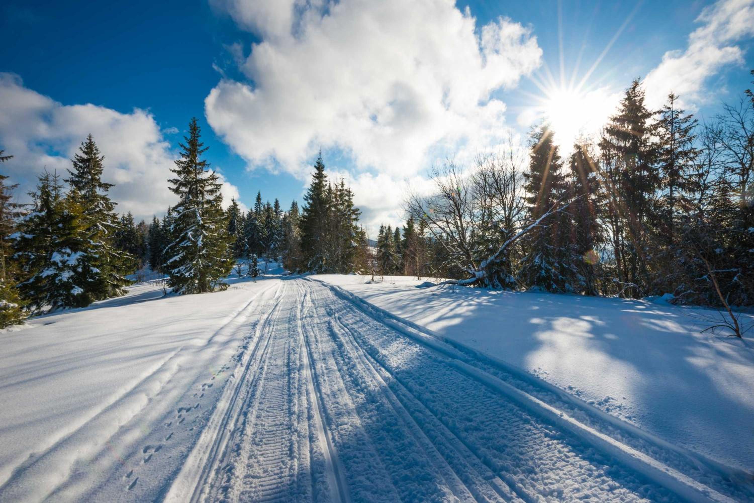 Snowmobile South Manistique Lake Lakeside Luxury