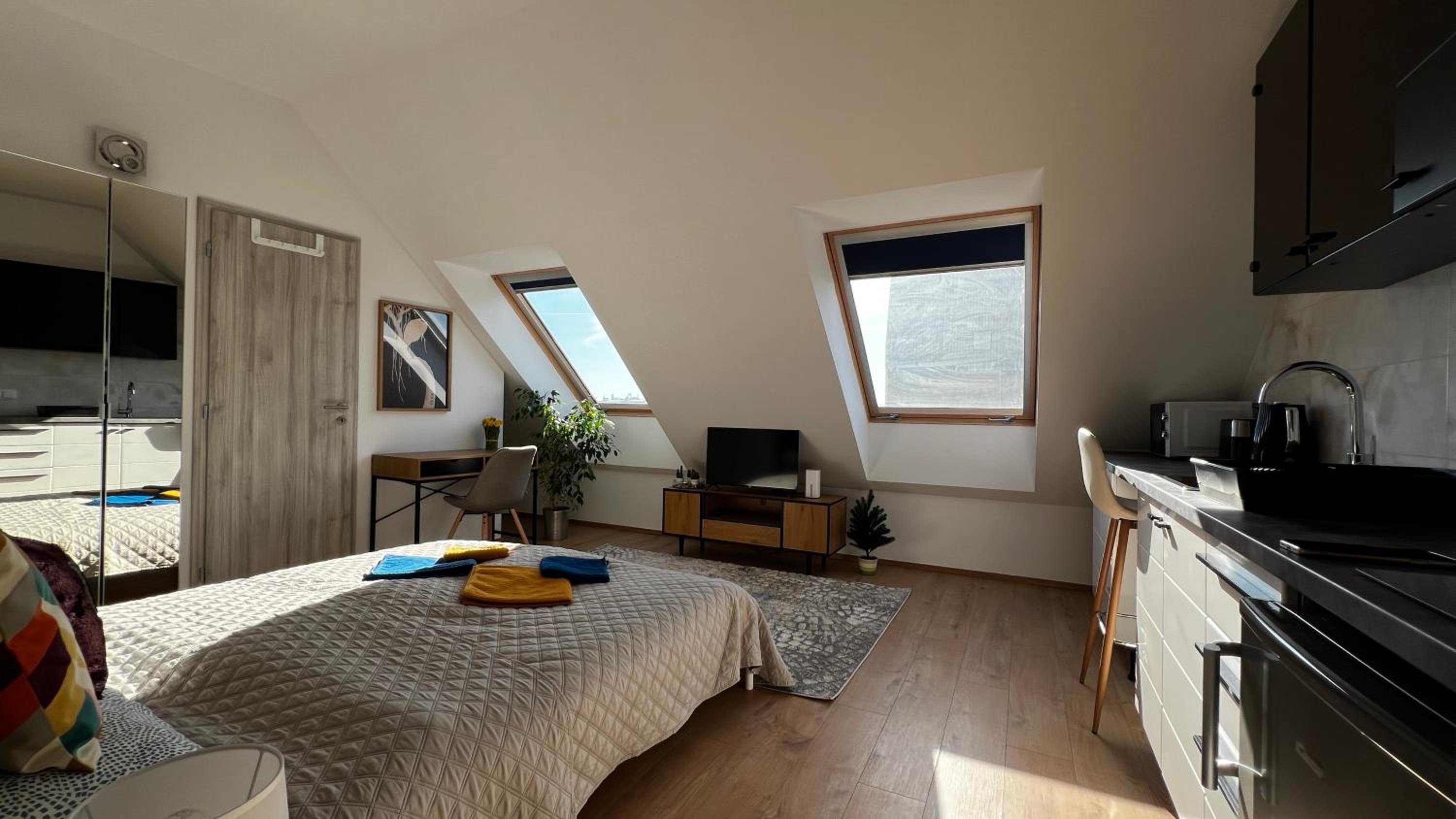 Daniel's Loft Studio view 3