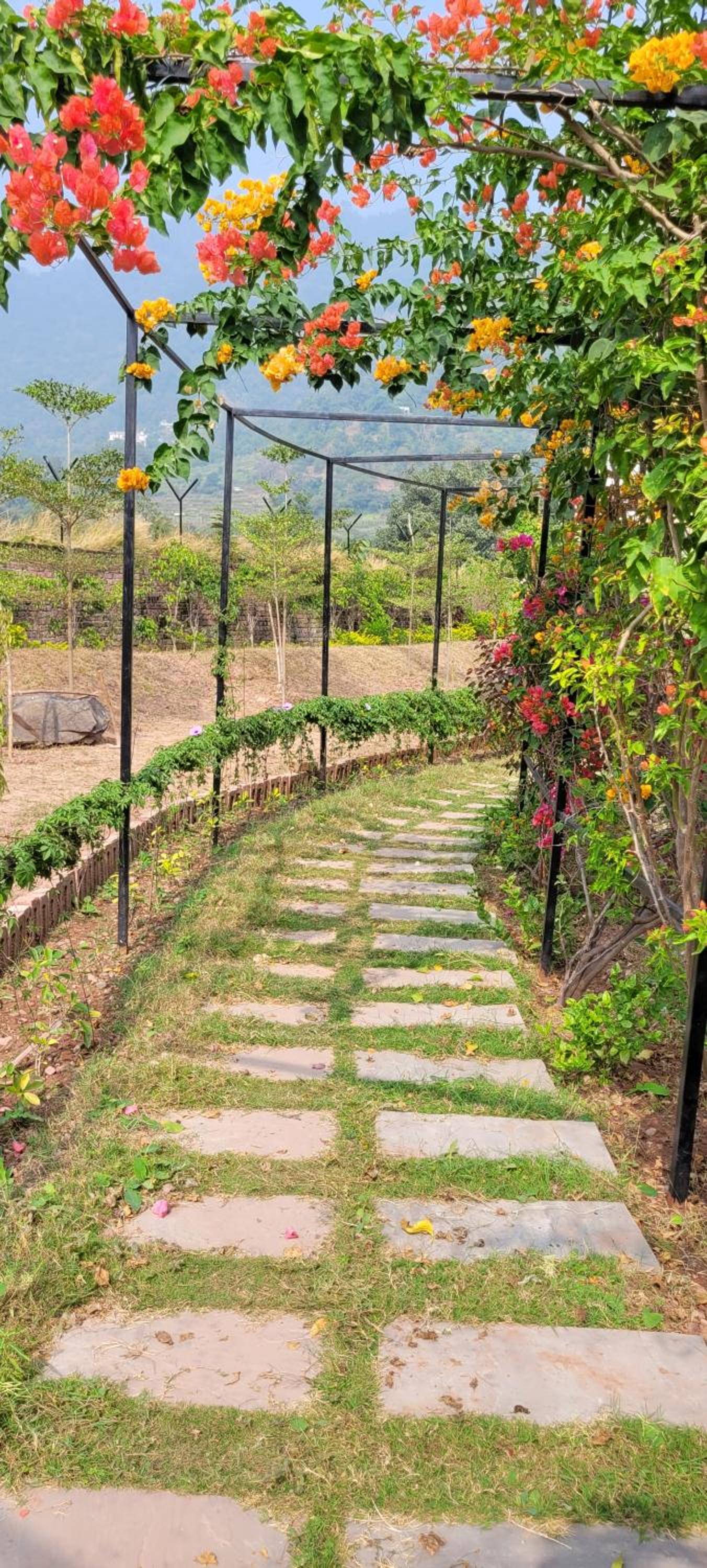 Aristaa Morni Hills: Pristine Stay in the Wild view 2