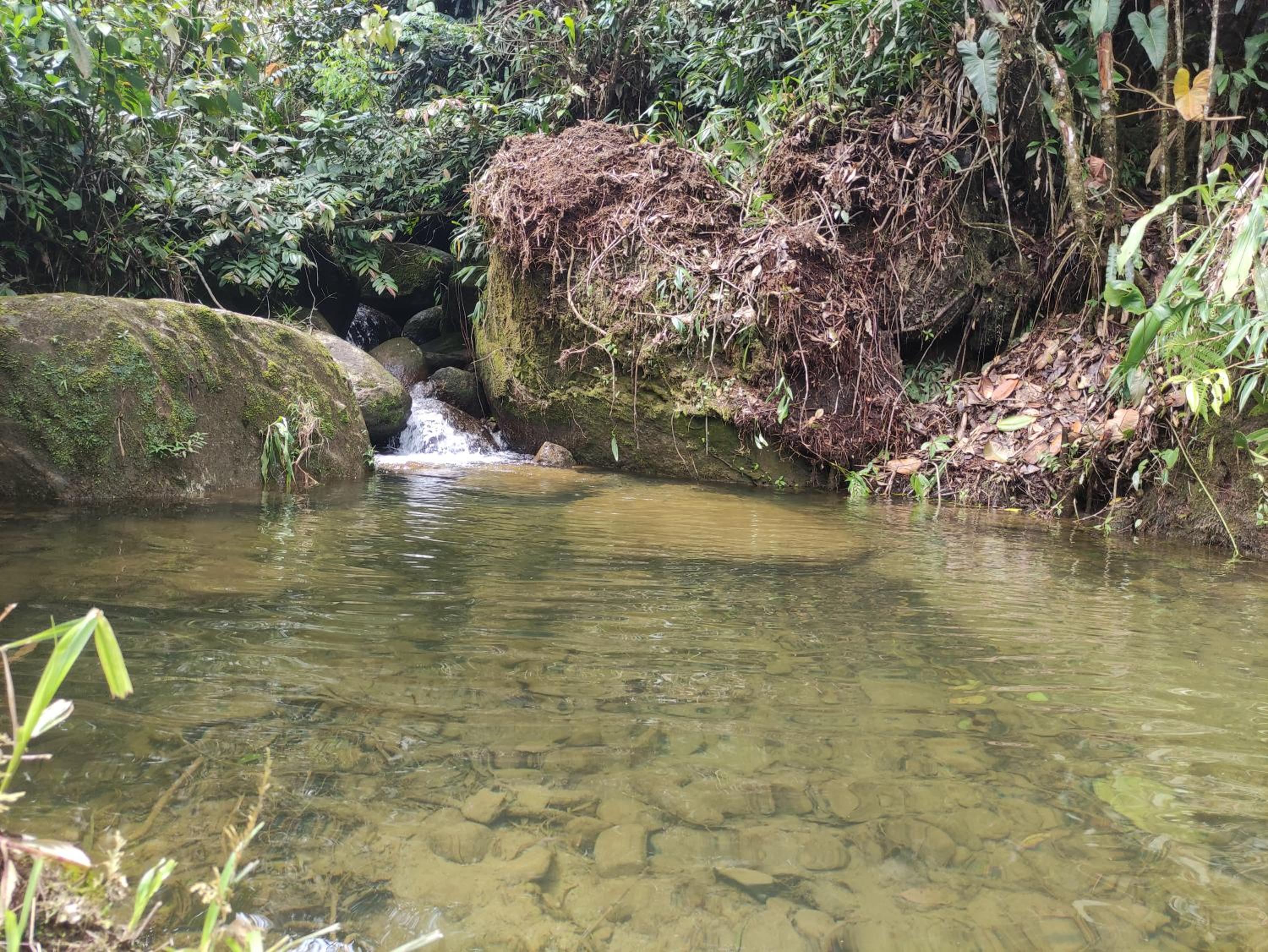 Finca AVALON Alejandria Antioquia