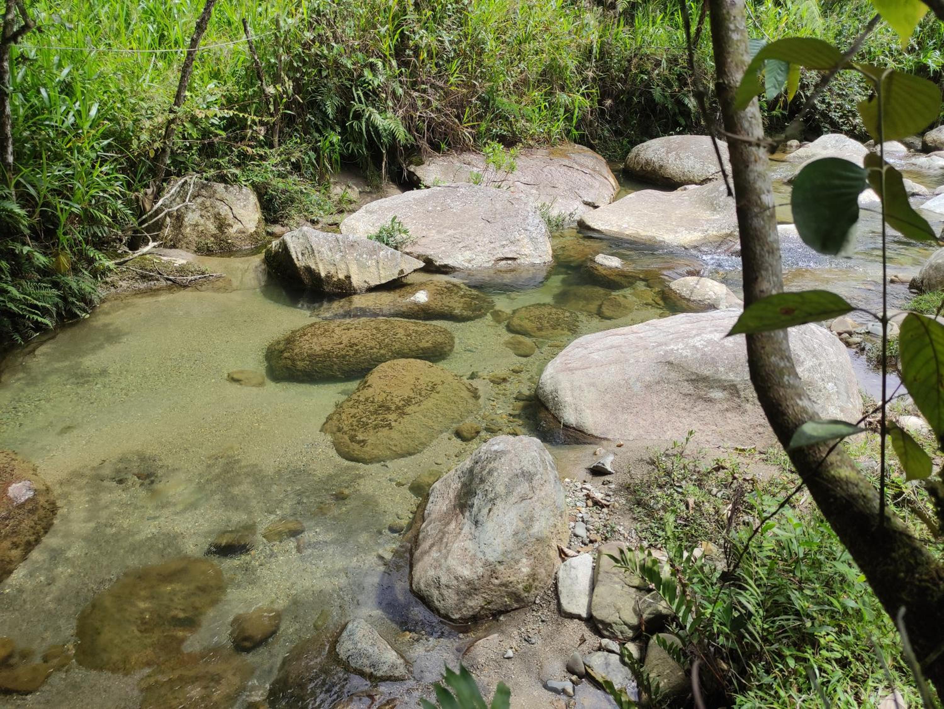 Finca AVALON Alejandria Antioquia