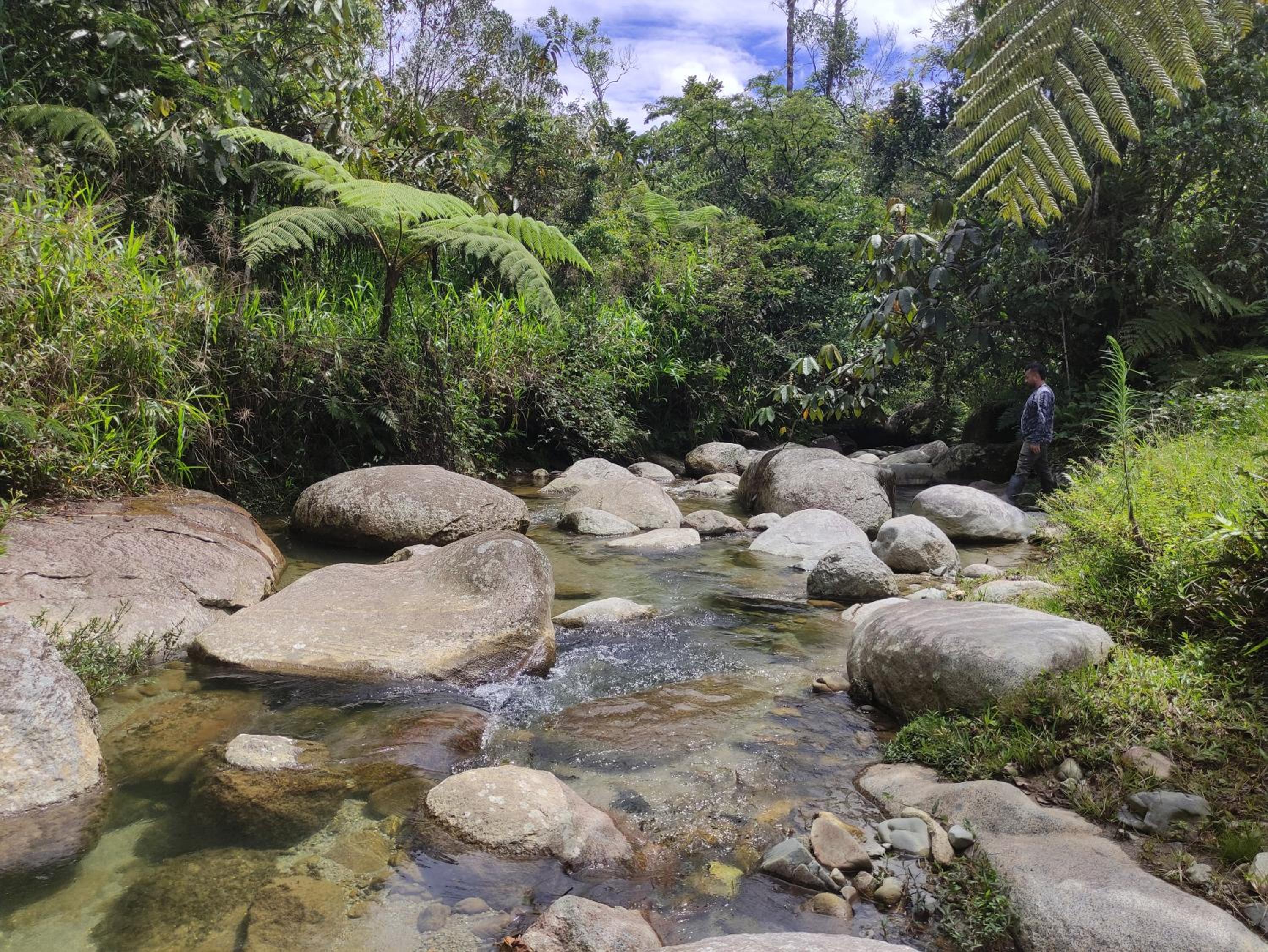 Finca AVALON Alejandria Antioquia