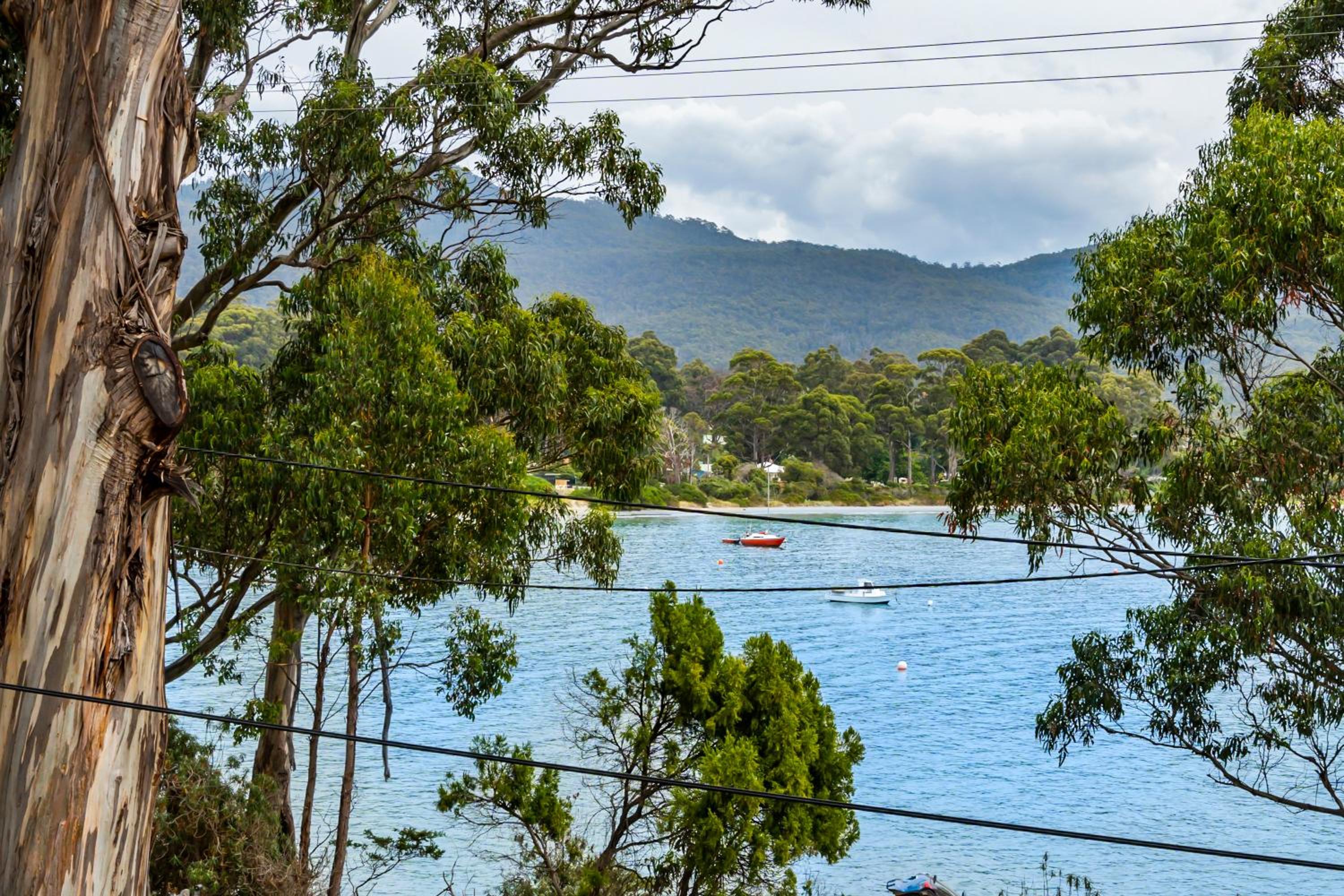 Sanctuary - Bruny Island
