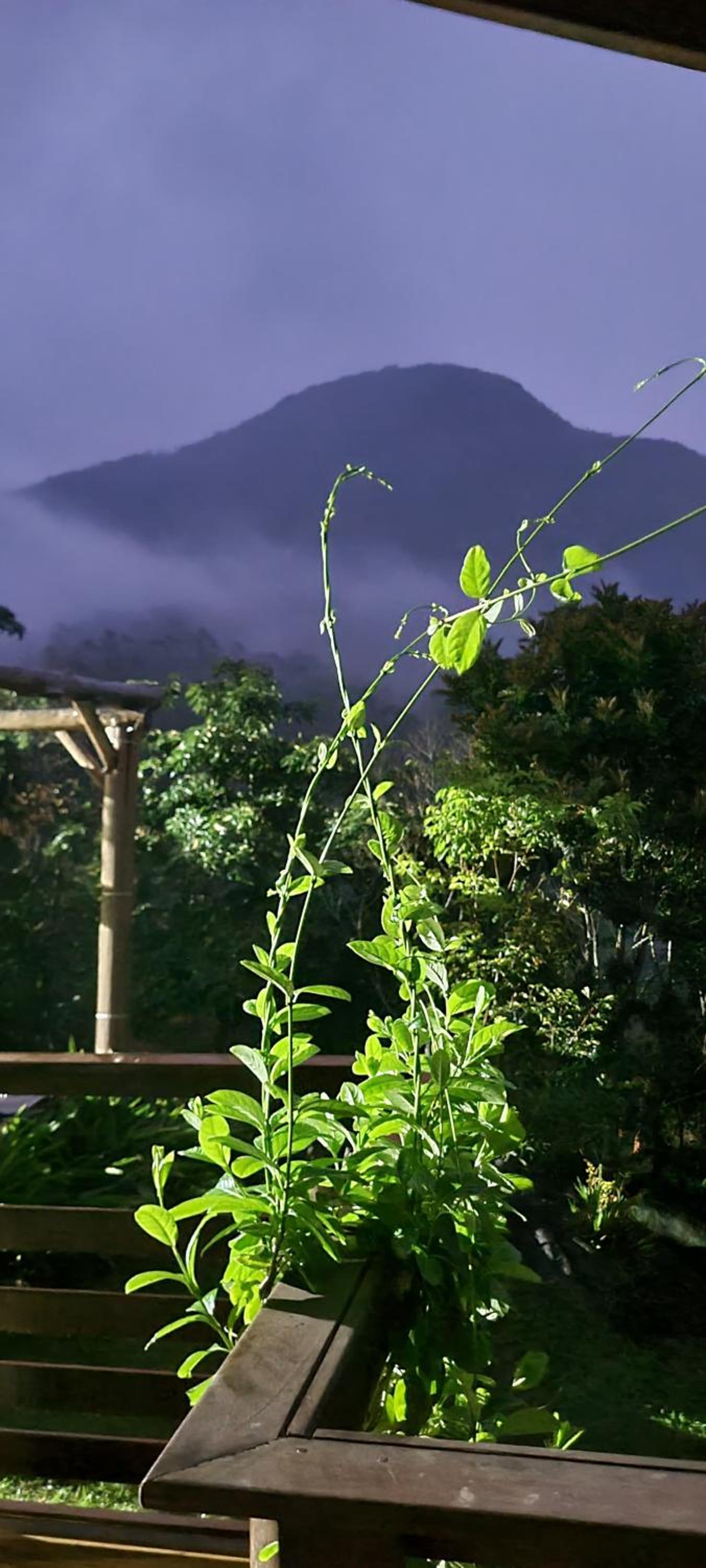 Espaço Isha Canelinha