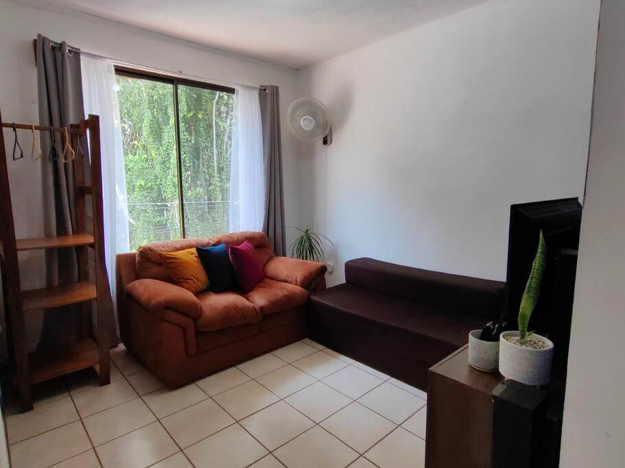 Sea Bass Apartment