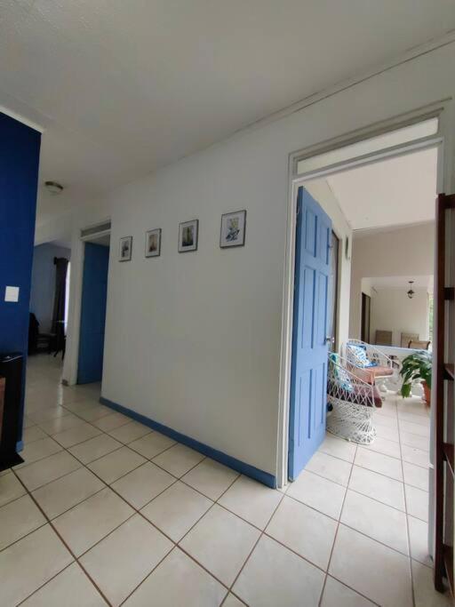 Sea Bass Apartment