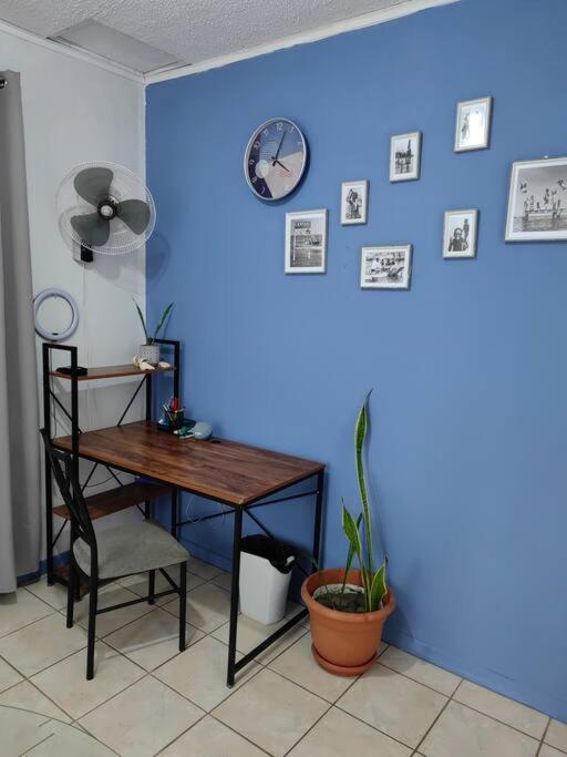 Sea Bass Apartment