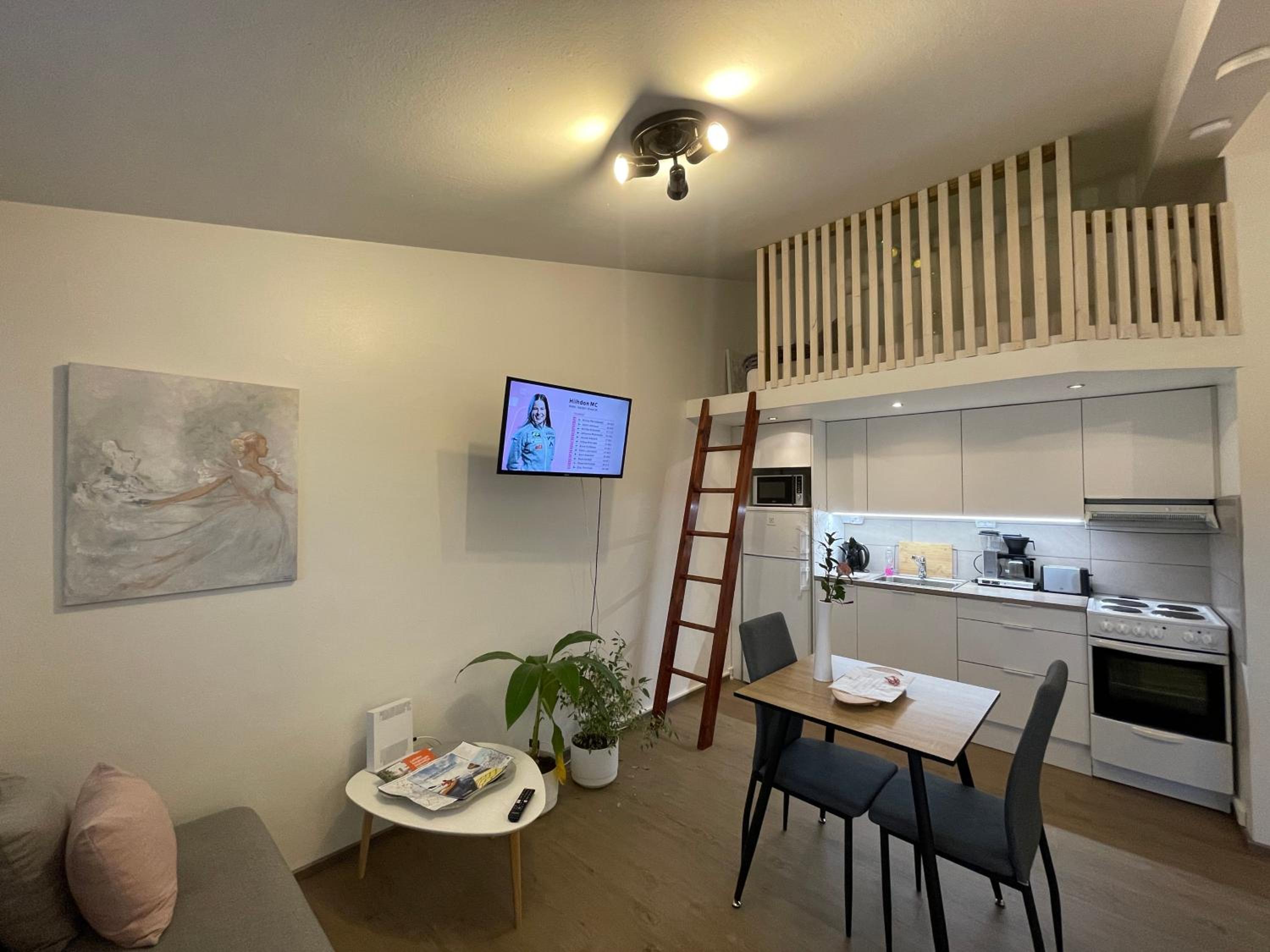 VesiLahti RoofLevel Apartment