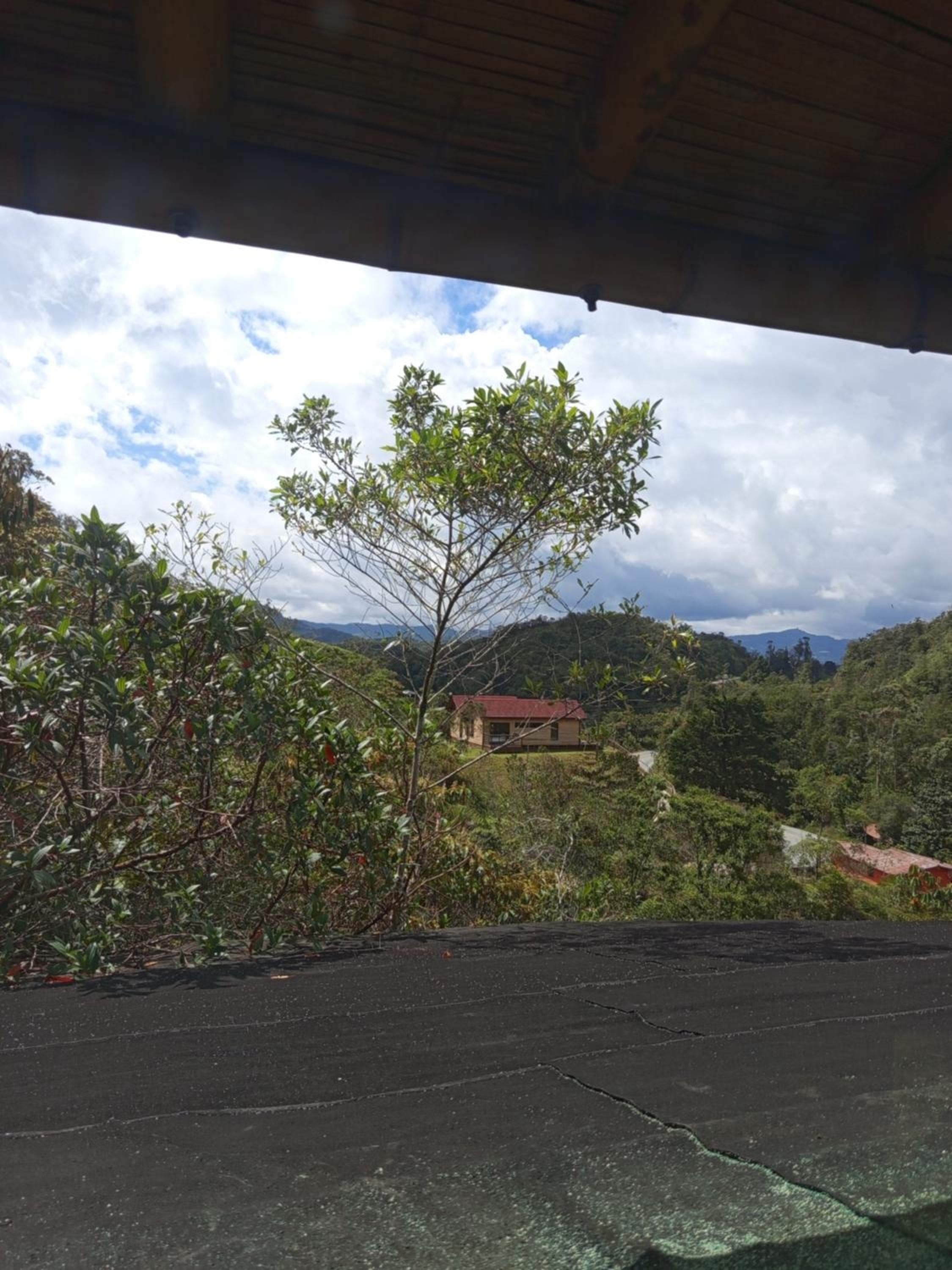 Aguatapé del Bosque