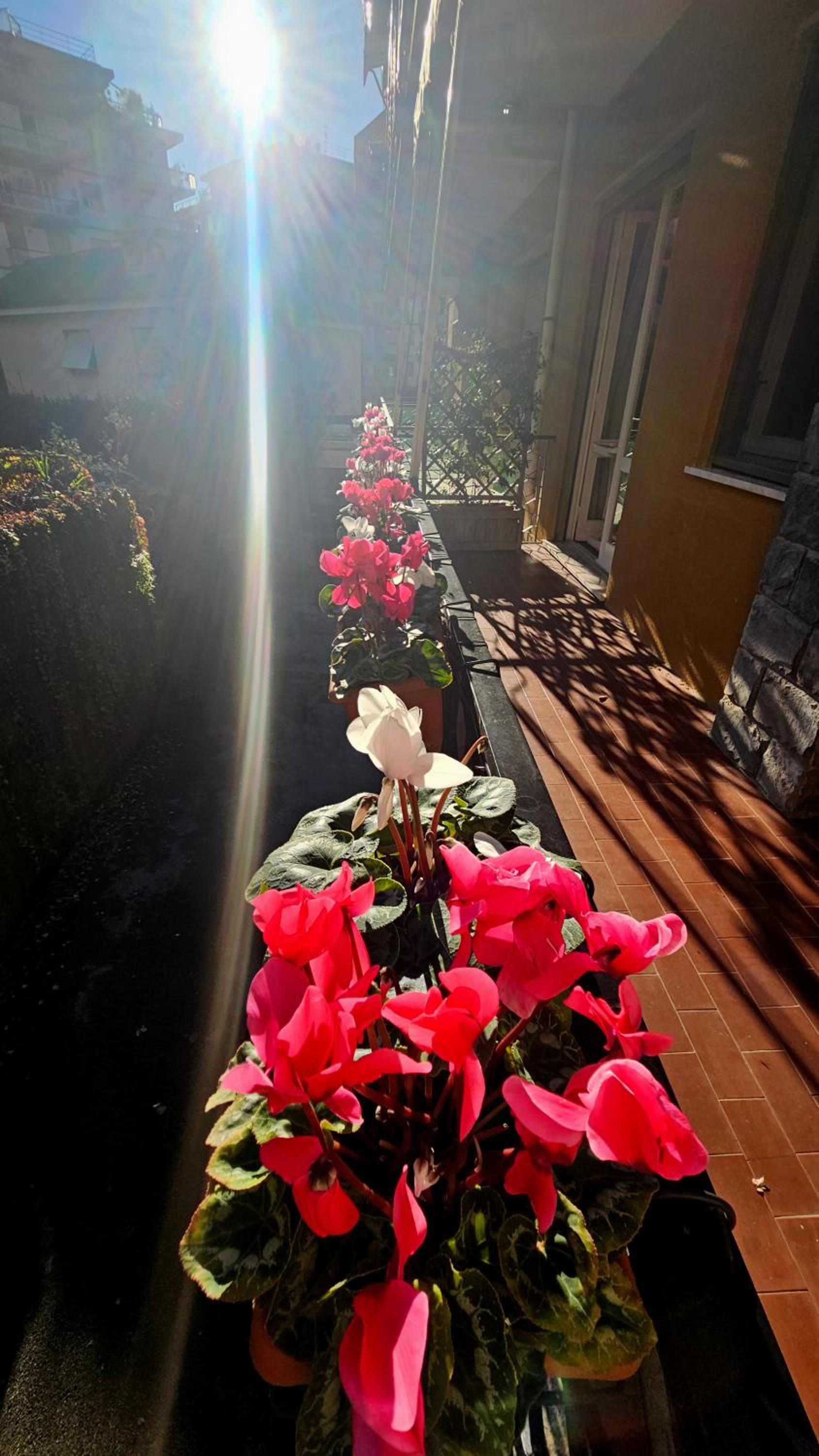 Casa con giardino vicino al mare