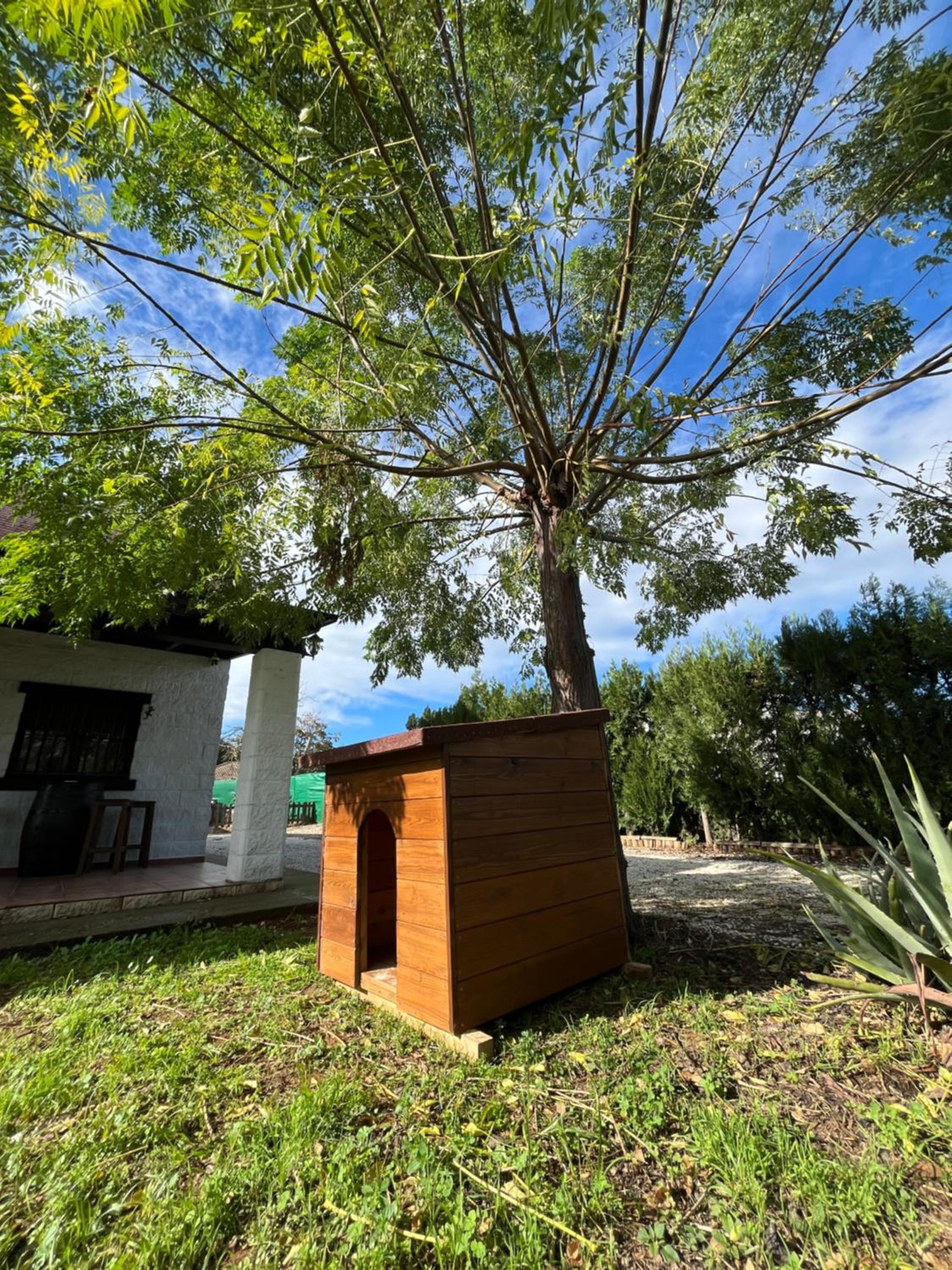 Cabaña Rústica La Pililla