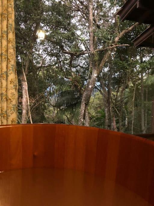 CASA DA MATA - #casinhasscherer