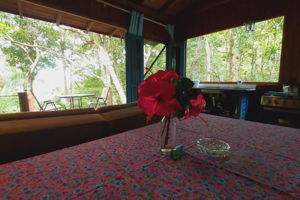 CASA DA MATA - #casinhasscherer