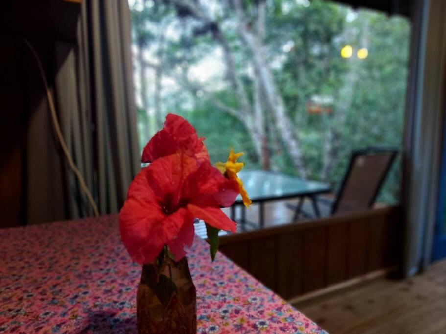 CASA DA MATA - #casinhasscherer