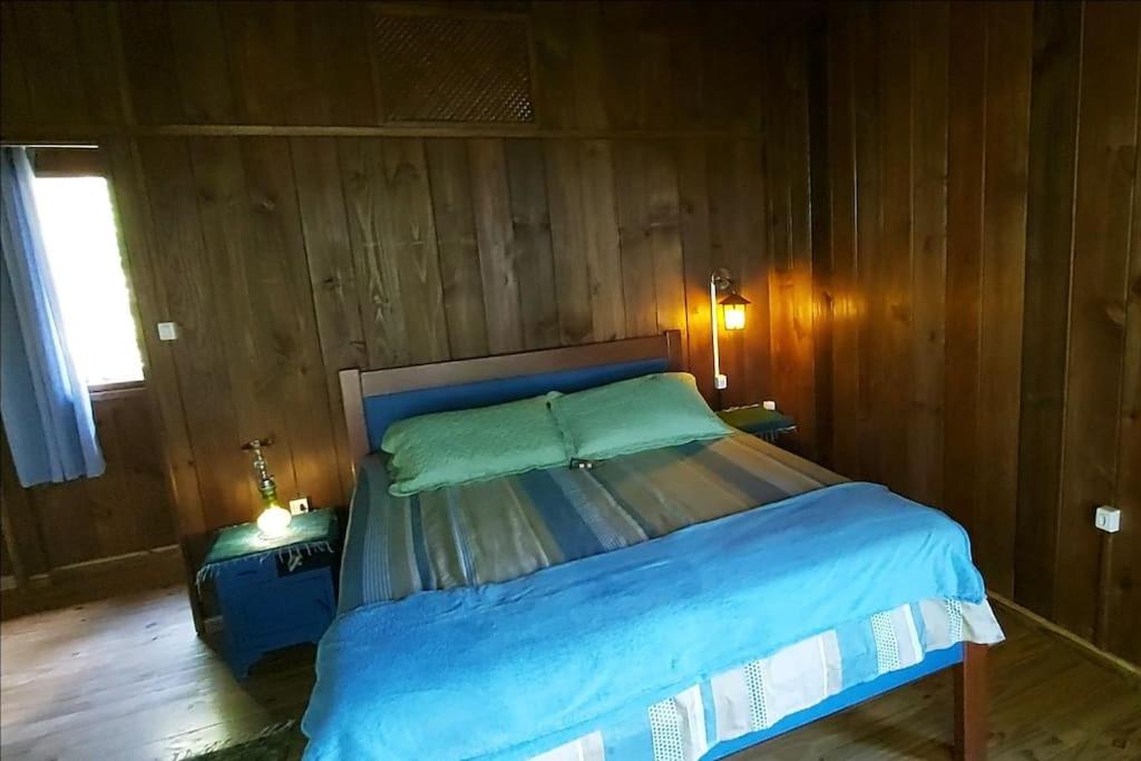CASA DA MATA - #casinhasscherer