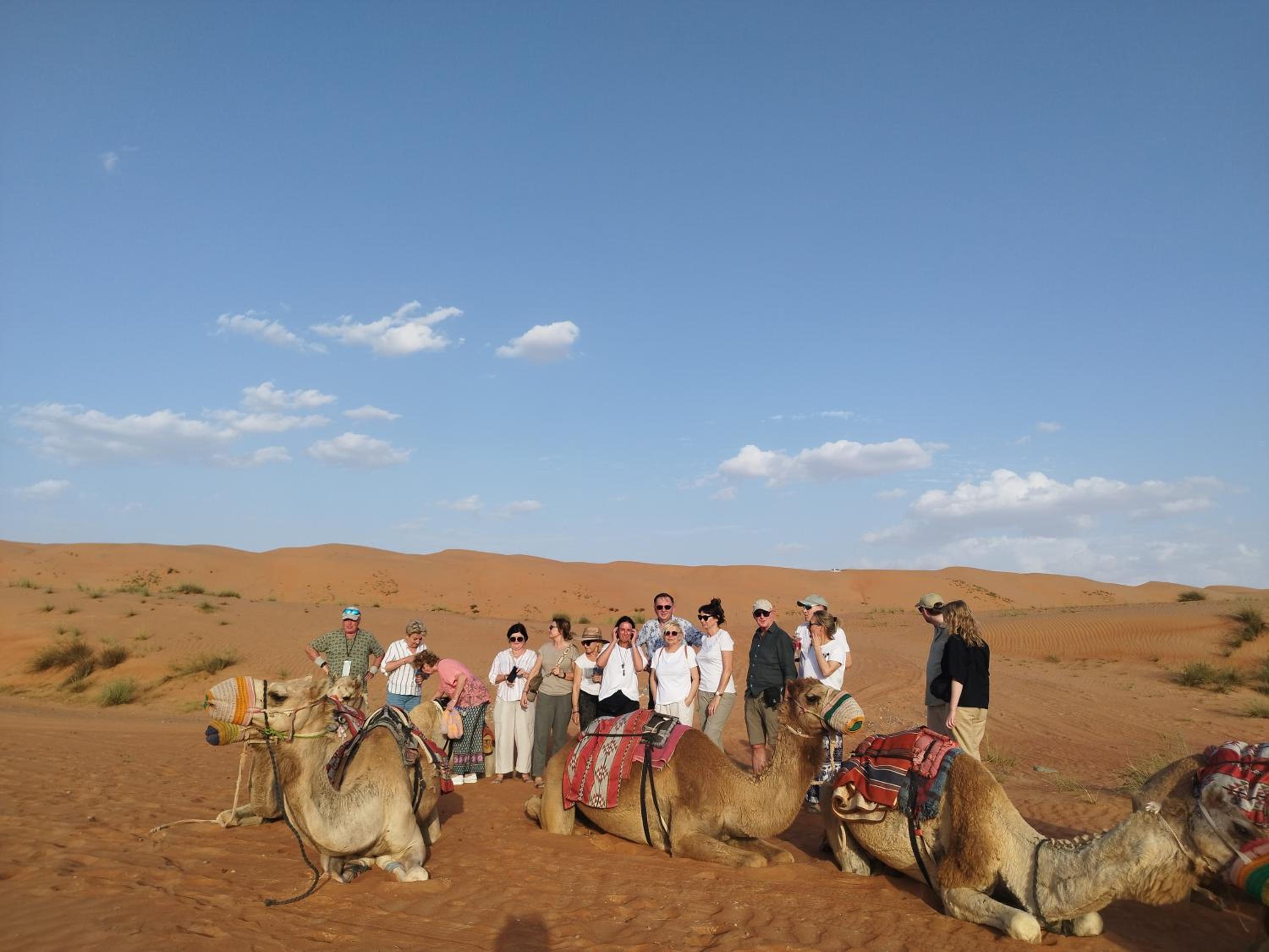 Desert Dunes Bedouin Camp view 2