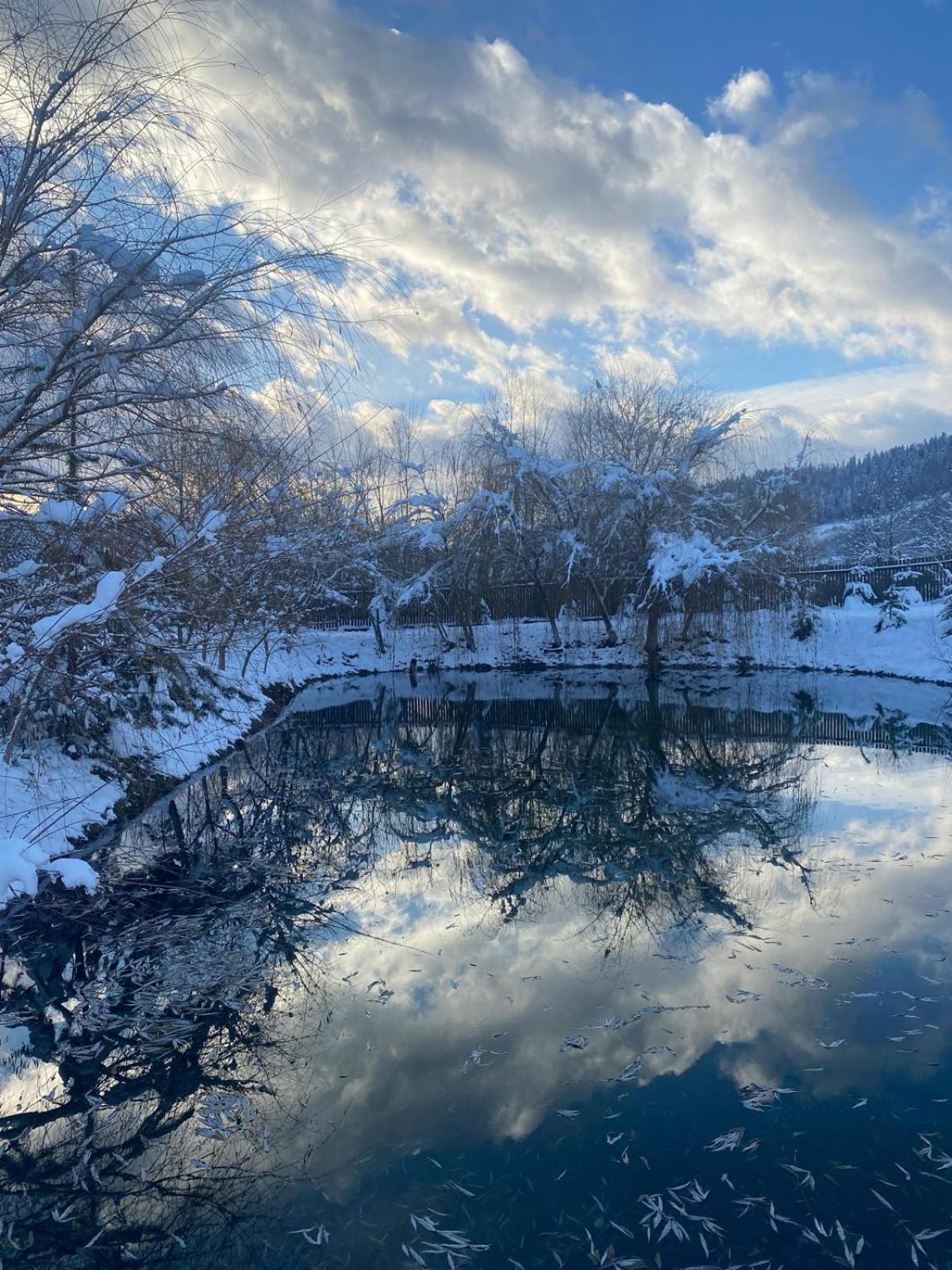Moonlake Chalet