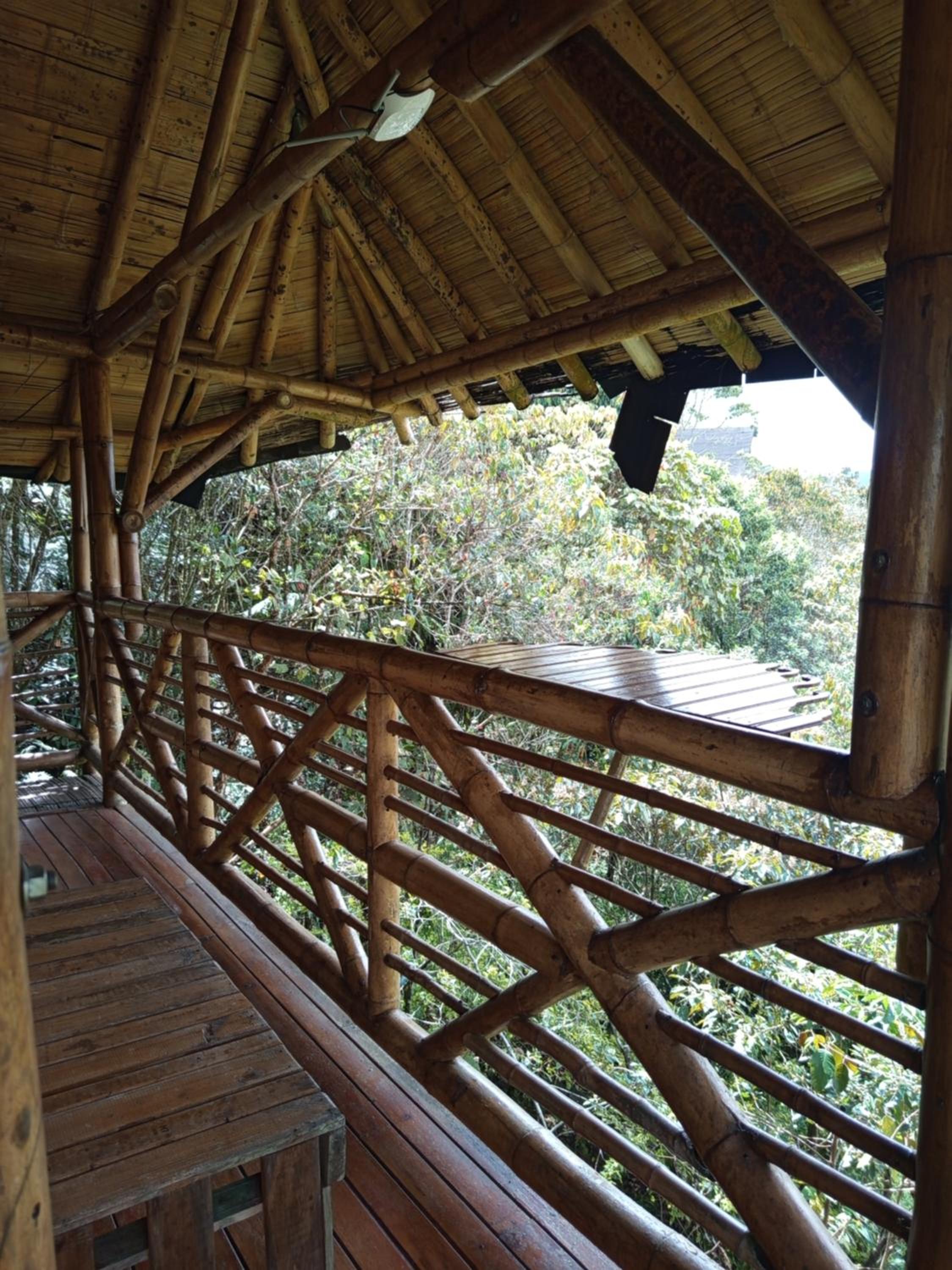 Aguatapé del Bosque