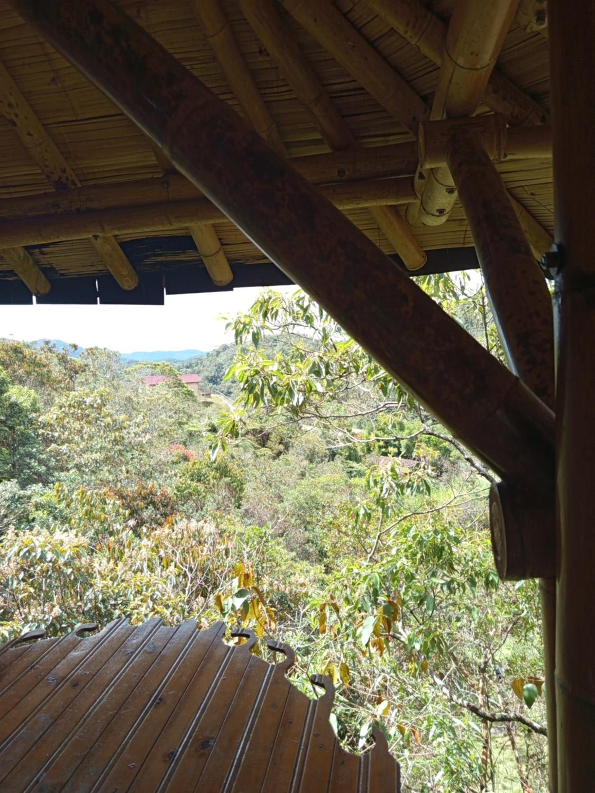 Aguatapé del Bosque