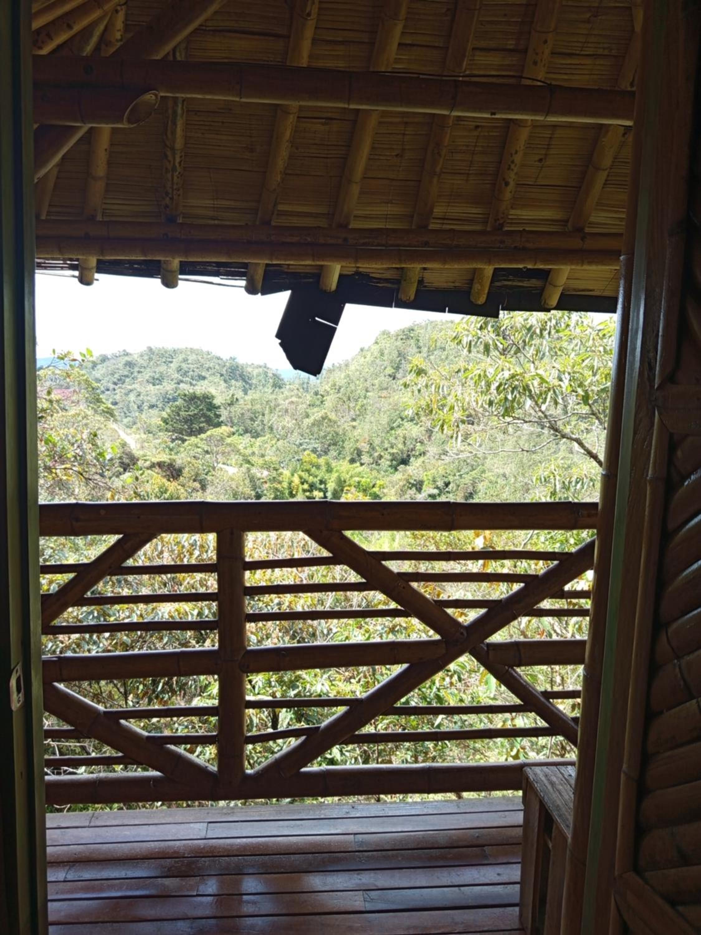 Aguatapé del Bosque