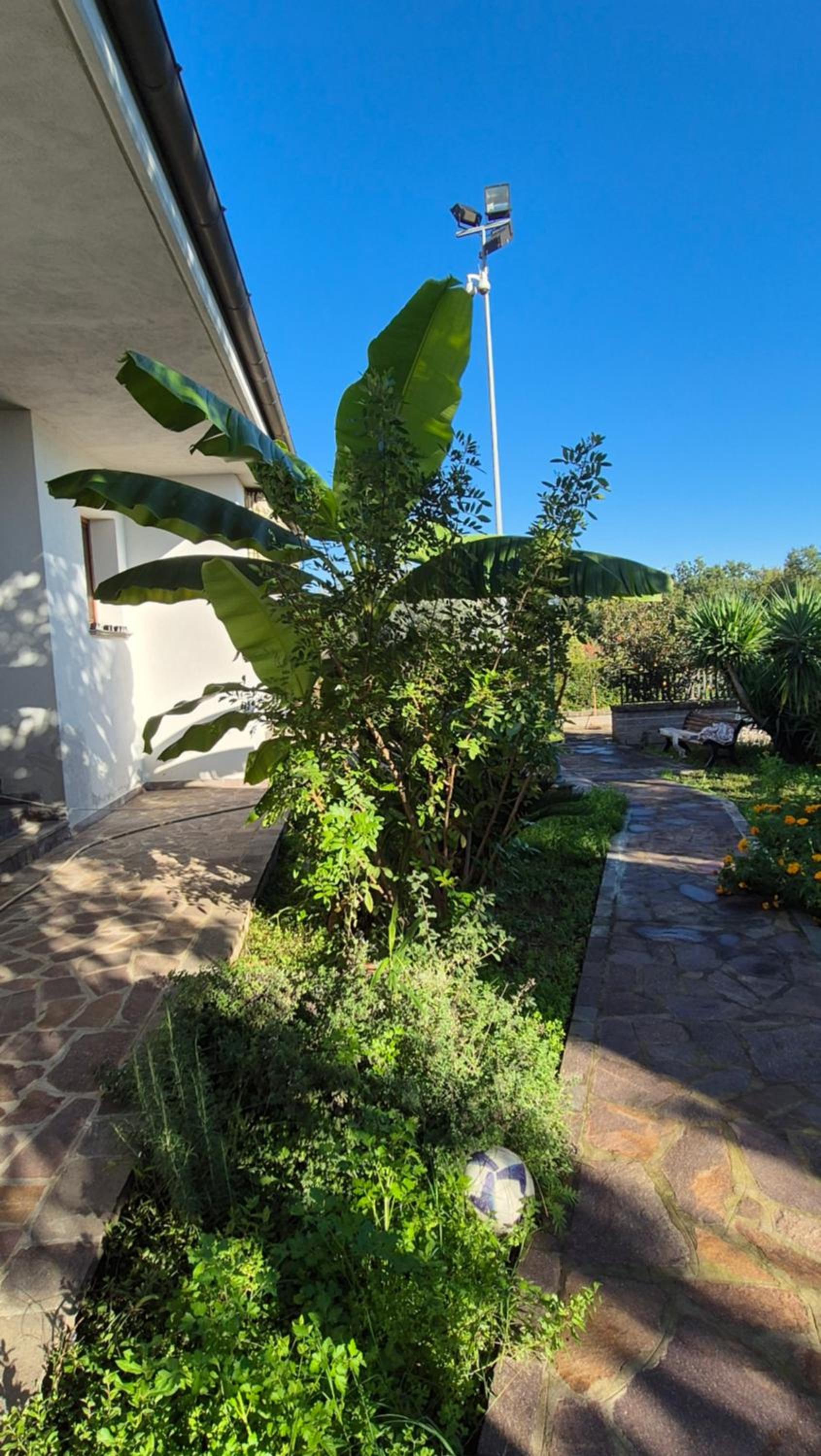 Villa Vitusya Charming home, photo 22