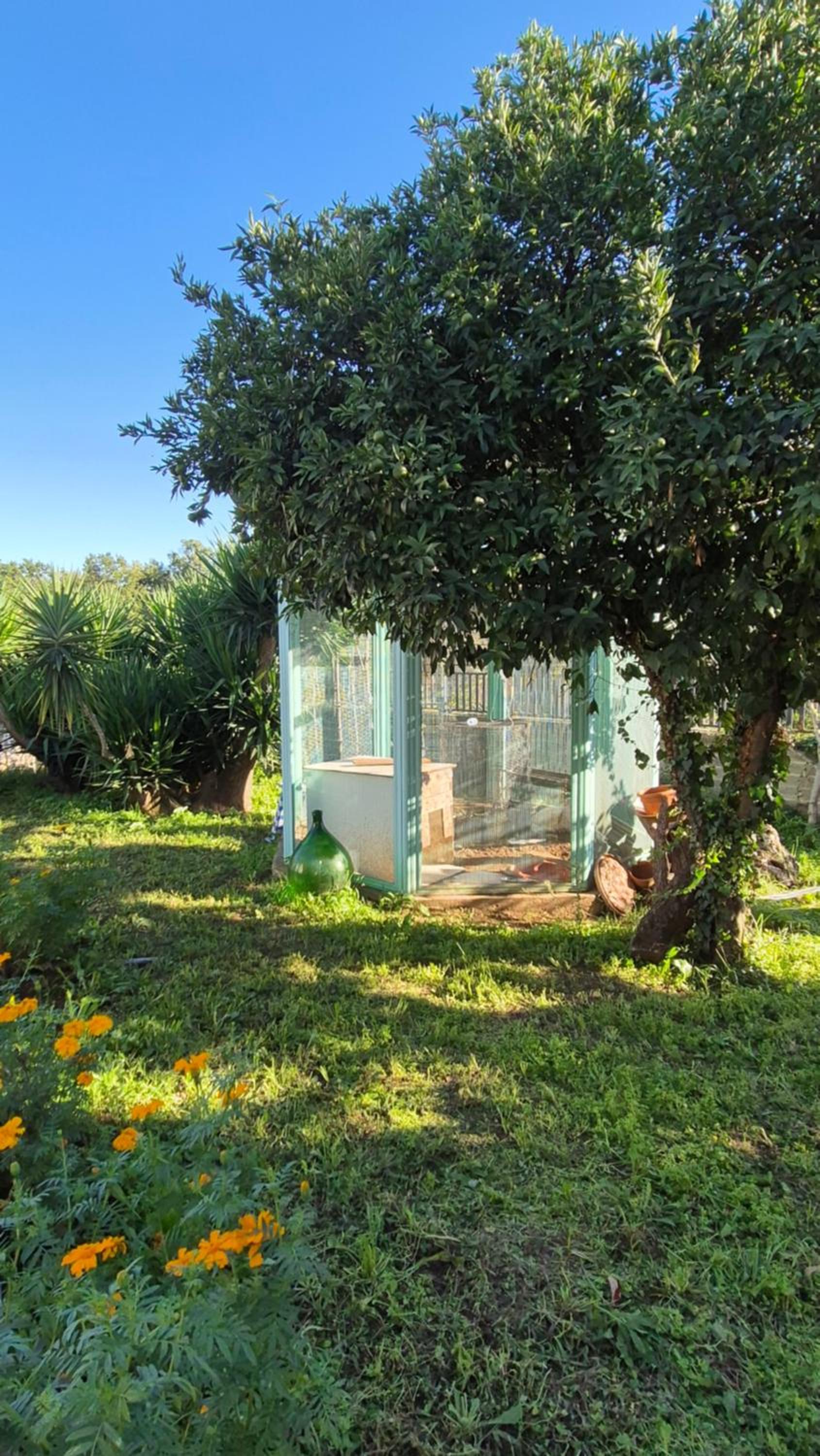 Villa Vitusya Charming home, photo 26