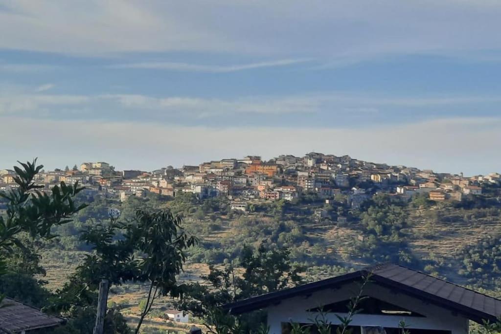 Villa Quattro Castagni view 4