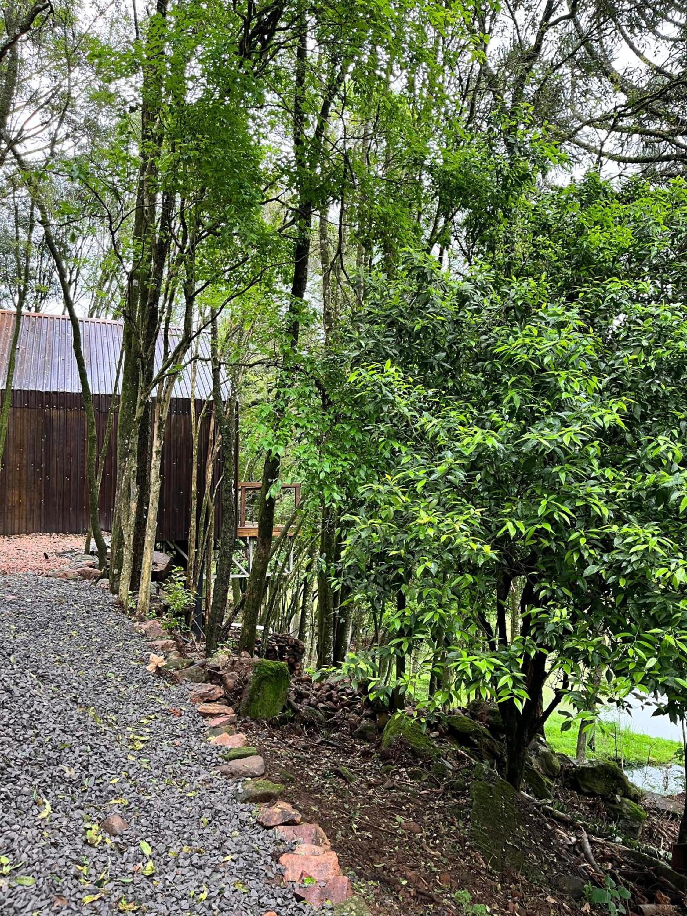 Chalé Araucária