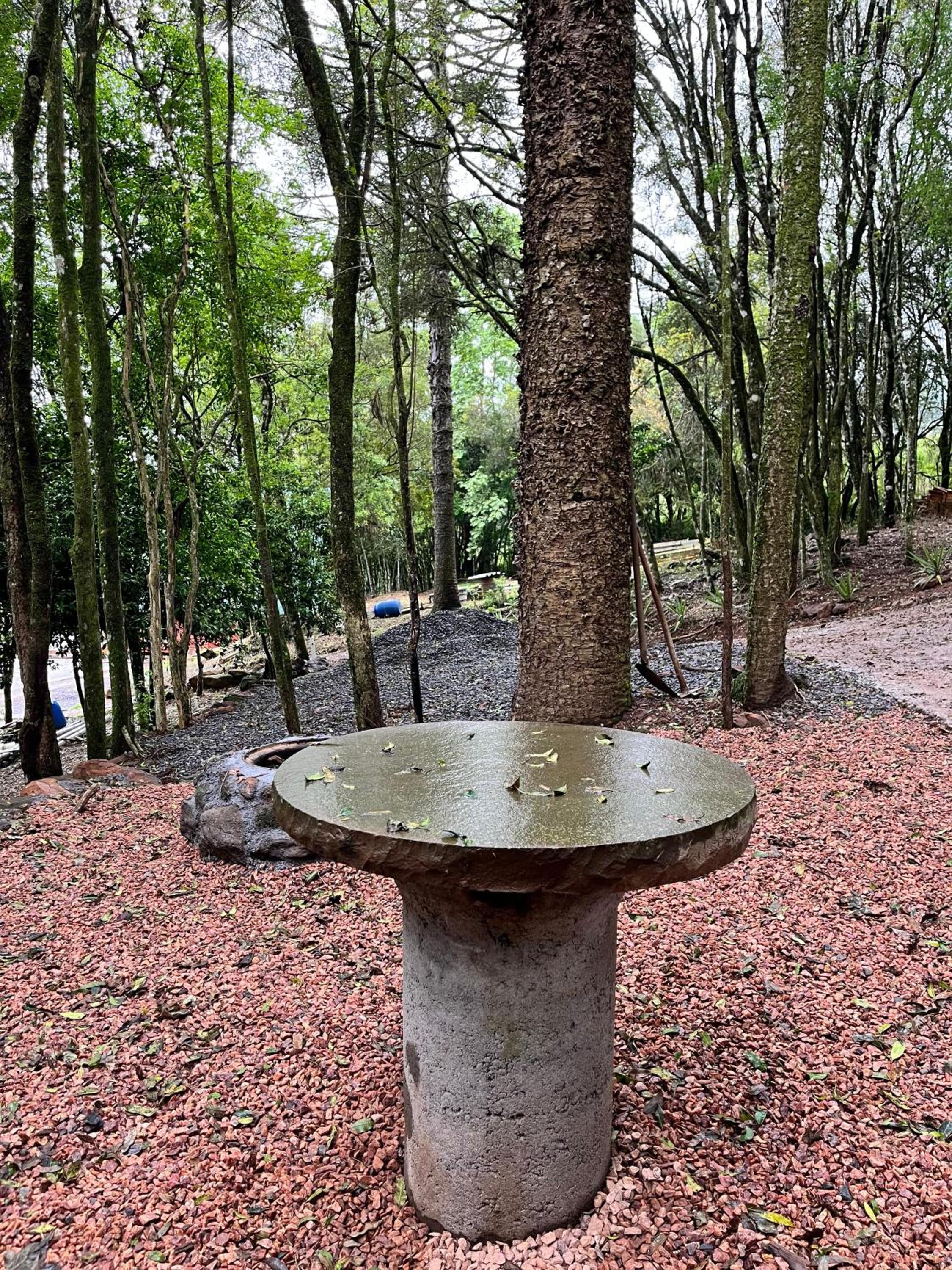 Chalé Araucária