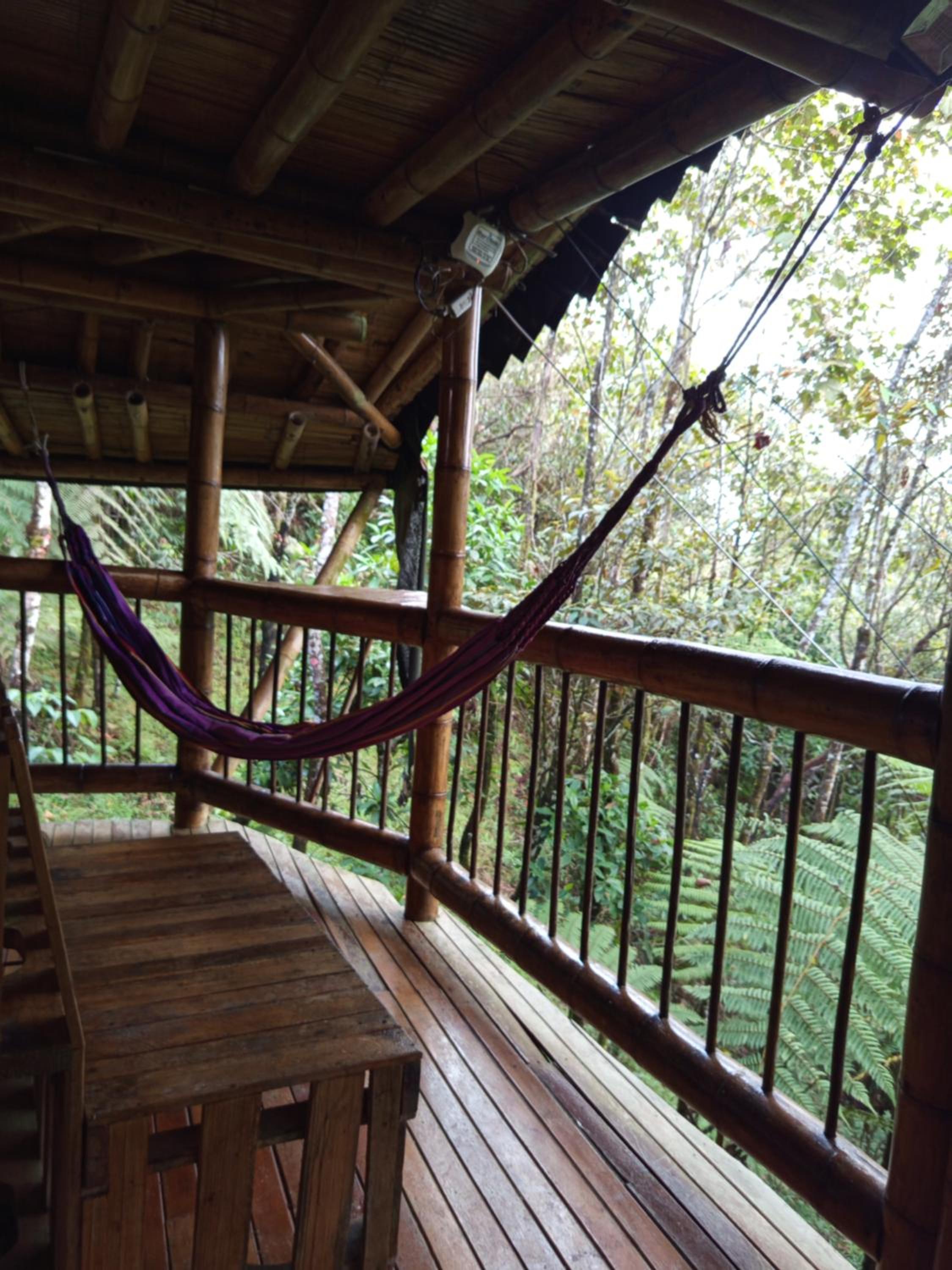 Aguatapé del Bosque