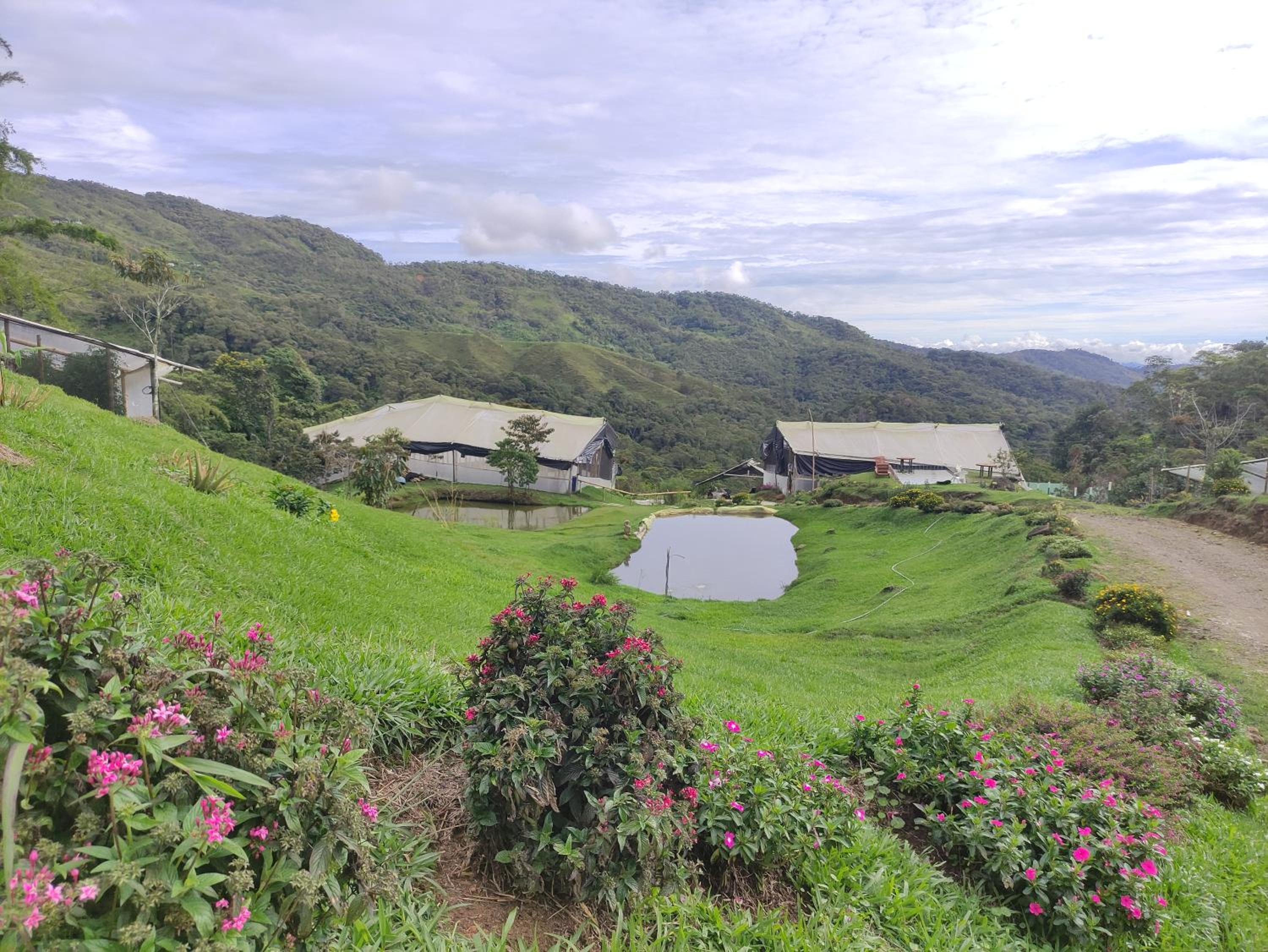 Finca AVALON Alejandria Antioquia