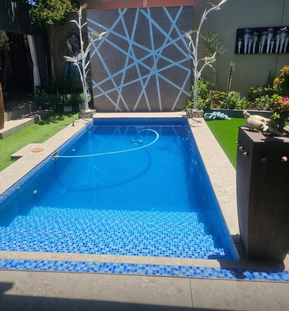 Hotel Rare Bird 20 Waverley