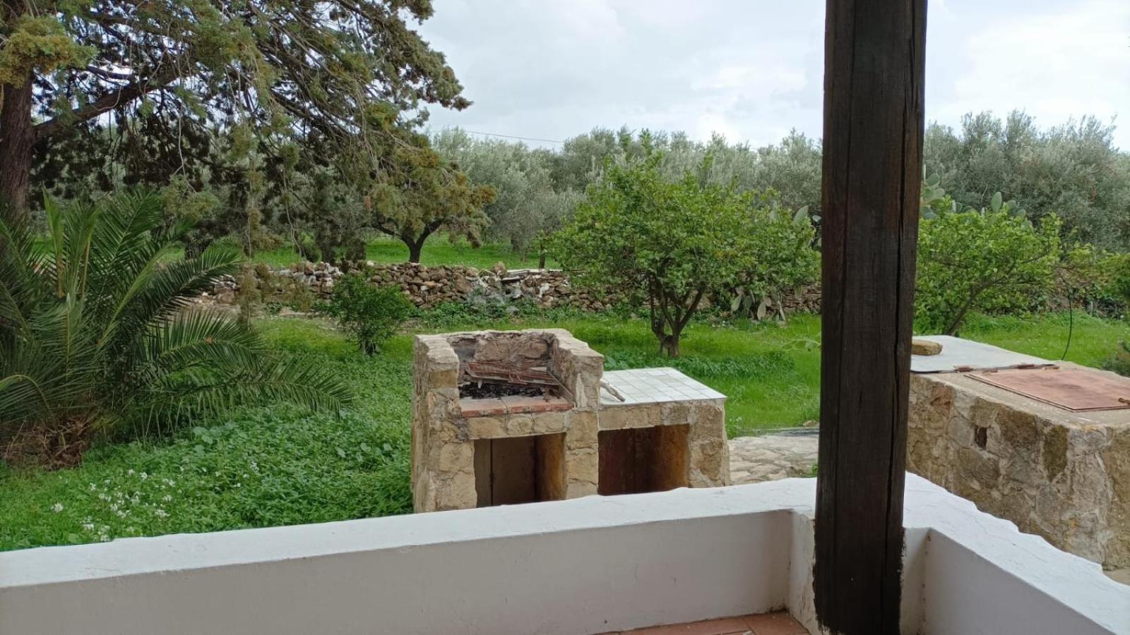 Casa Bouganville villetta tra le vigne e il mare view 2
