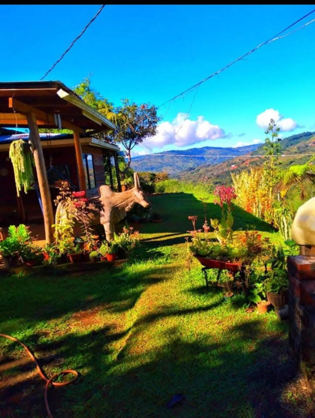 Cabaña vista hermosa