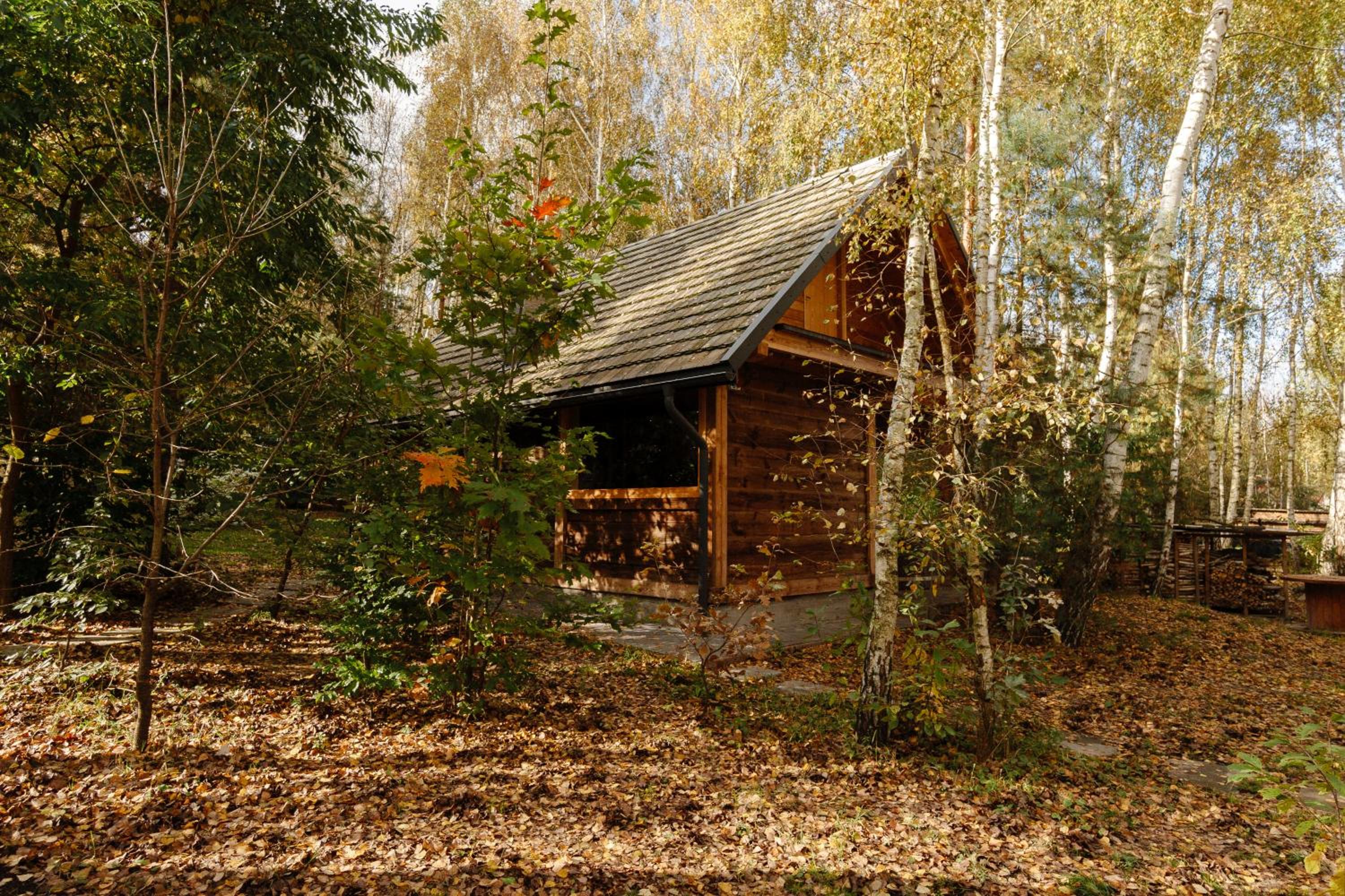 Photo 40