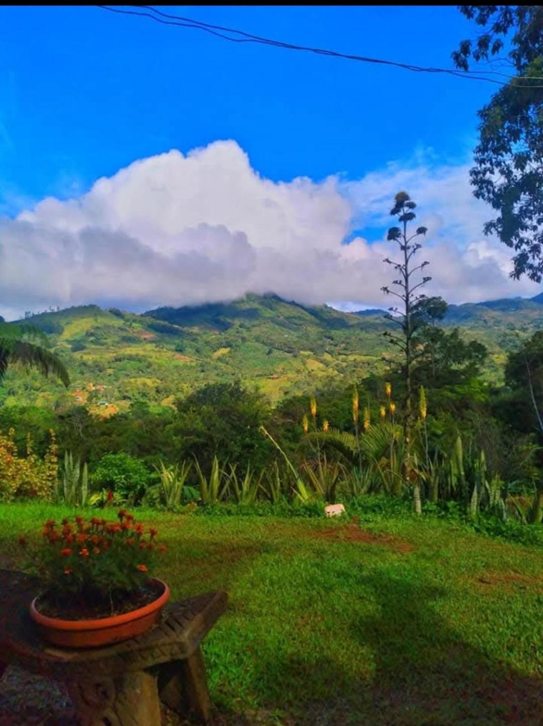 Cabaña vista hermosa