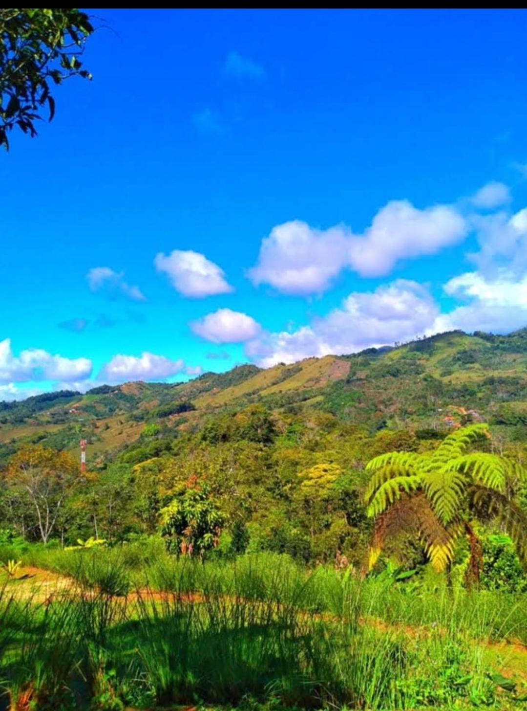 Cabaña vista hermosa