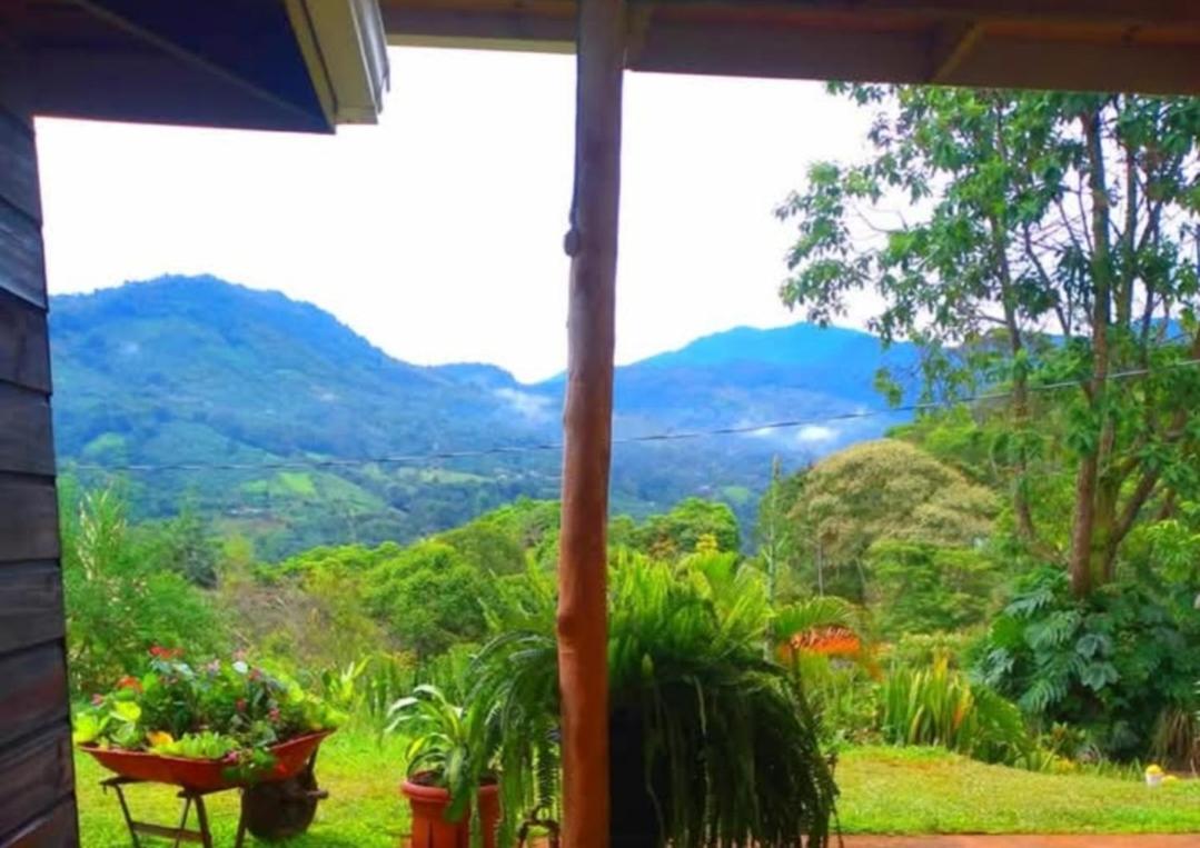 Cabaña vista hermosa